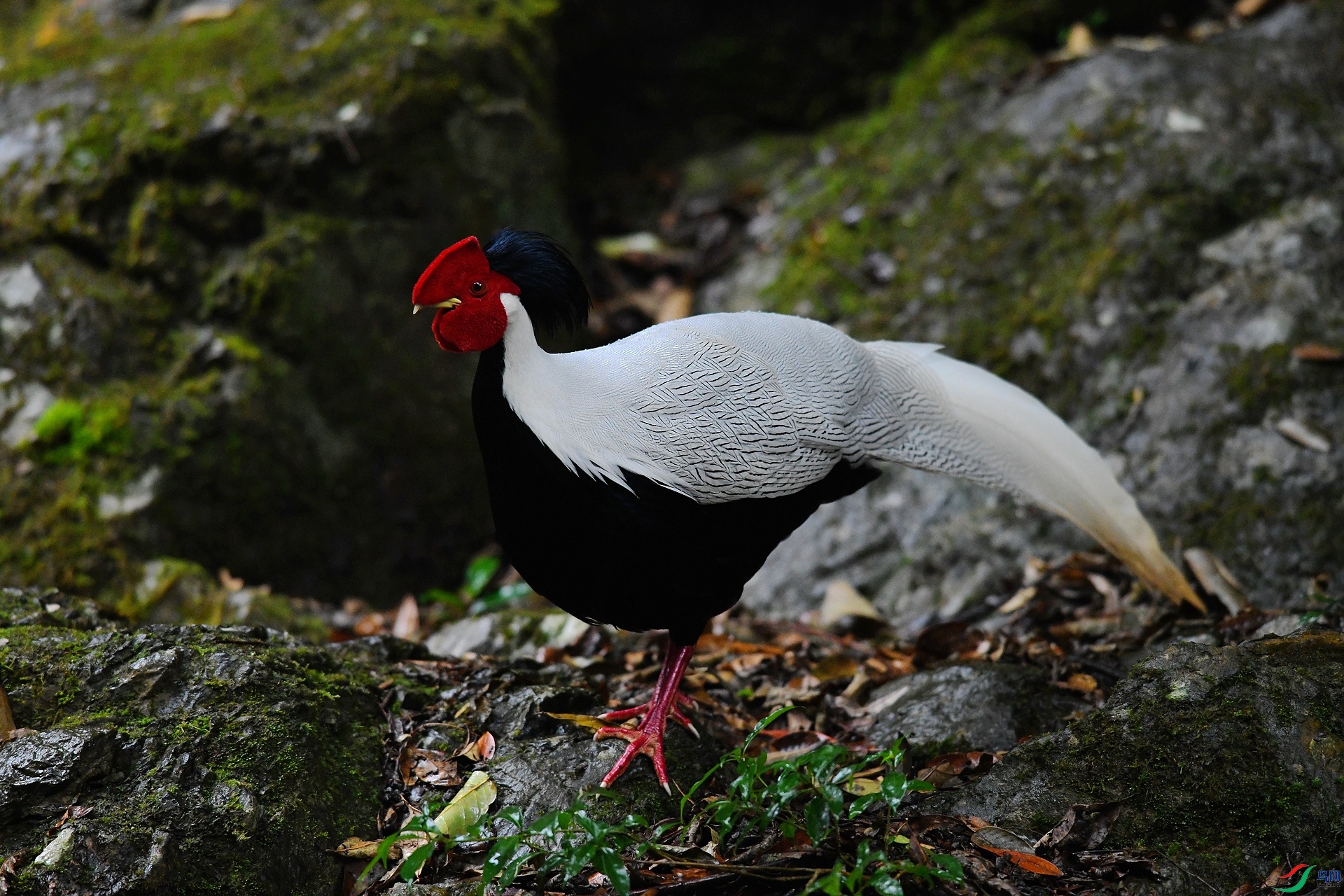 DSC_1393.jpg