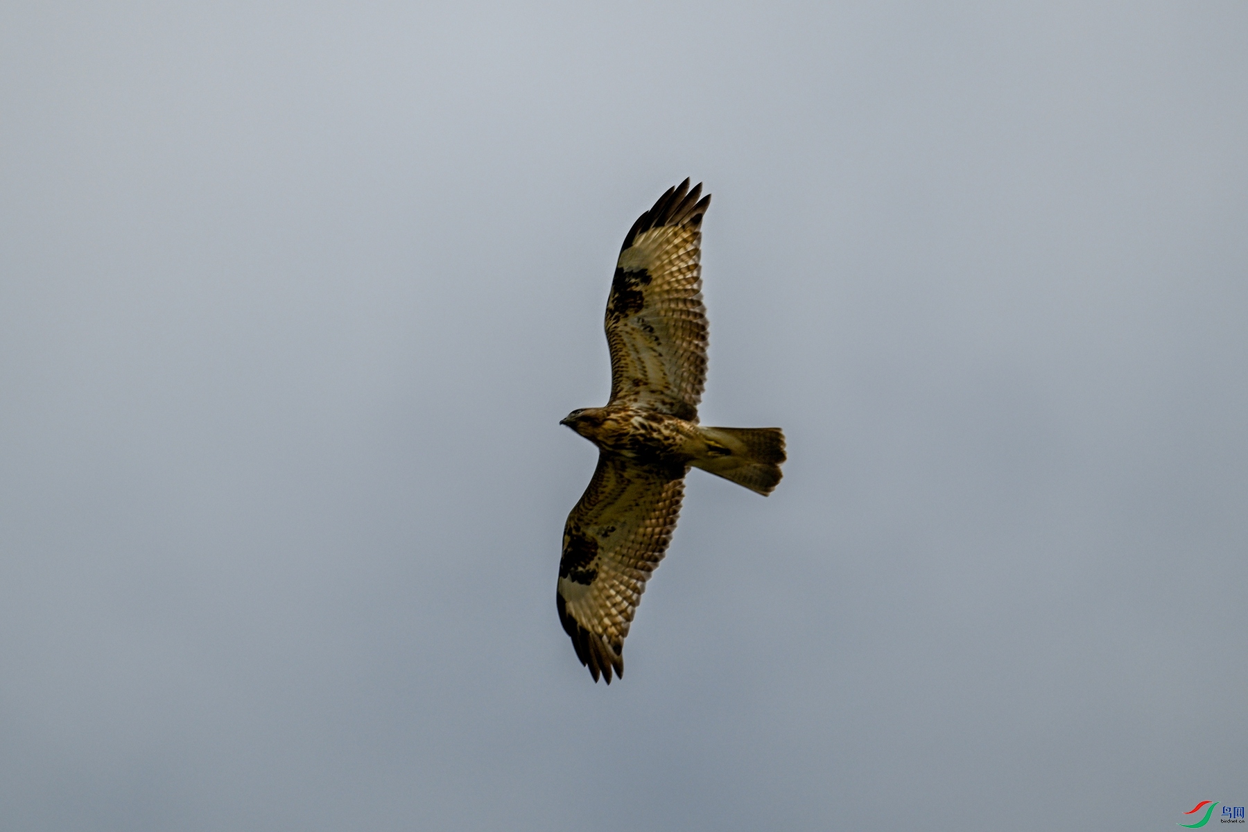 DSC_4824.JPG