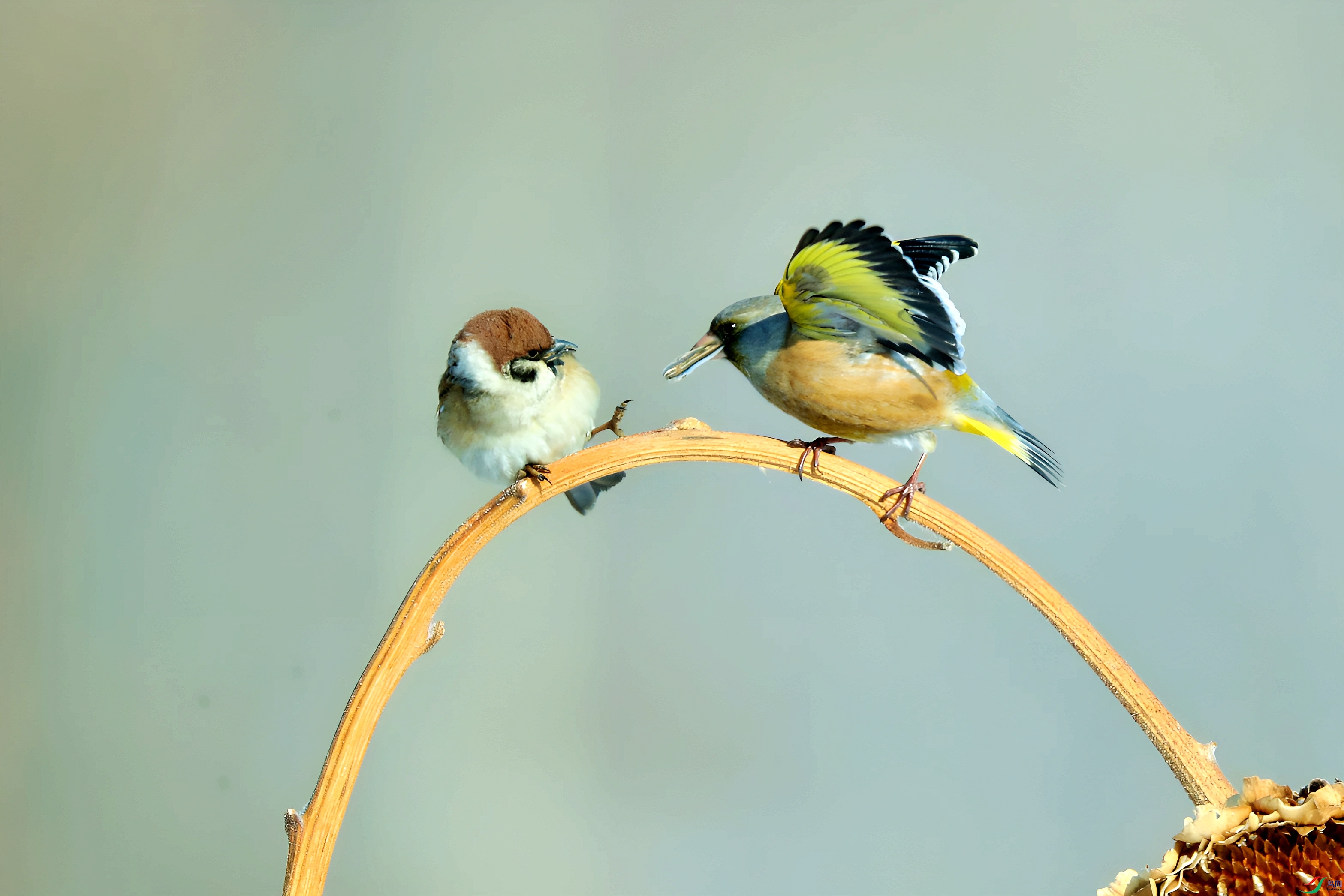 AW4I2818_����.jpg