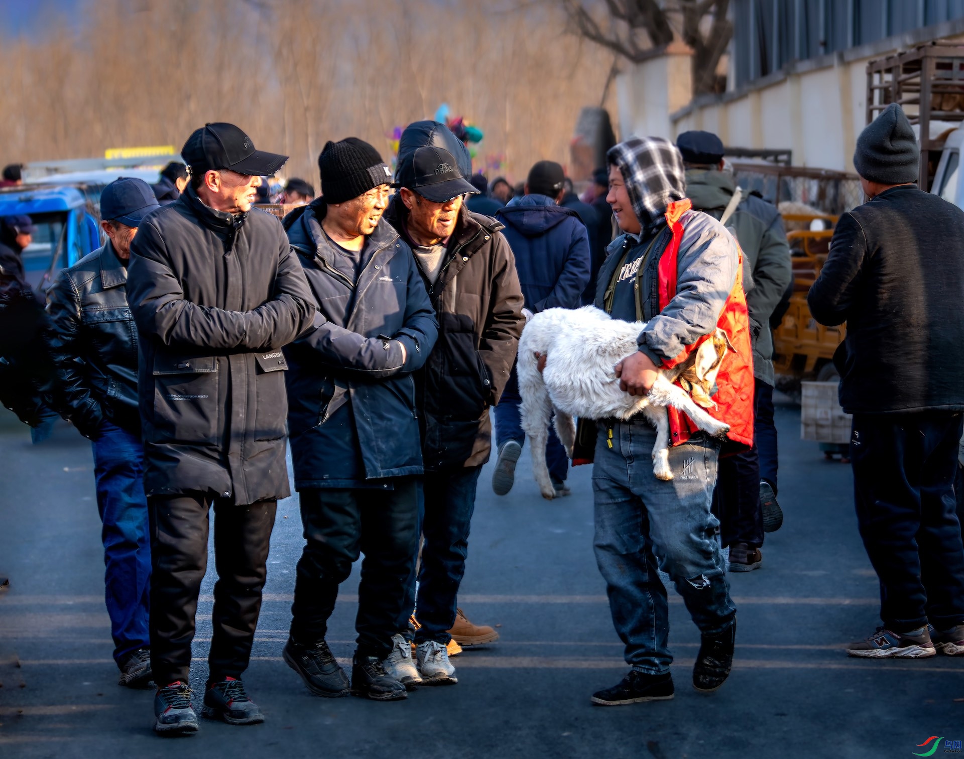 1_XXL5173-����ǿ-NR-1 2.jpeg