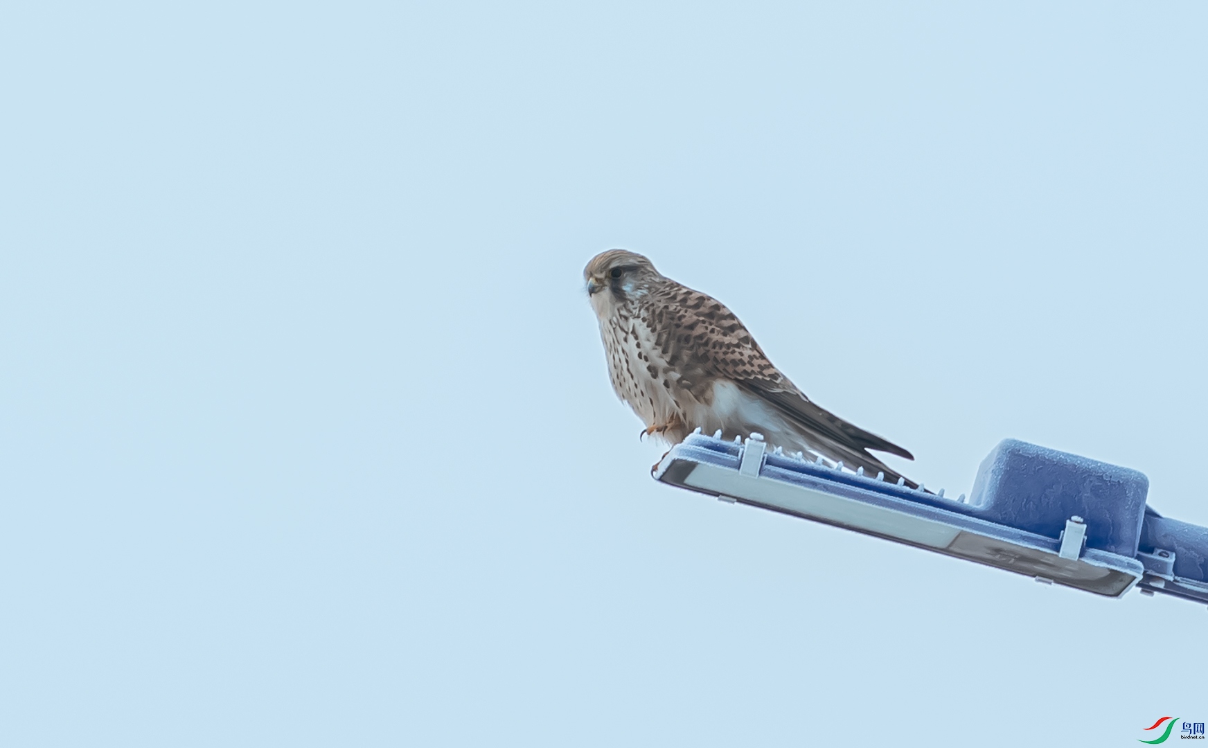 DSC_6818.jpg