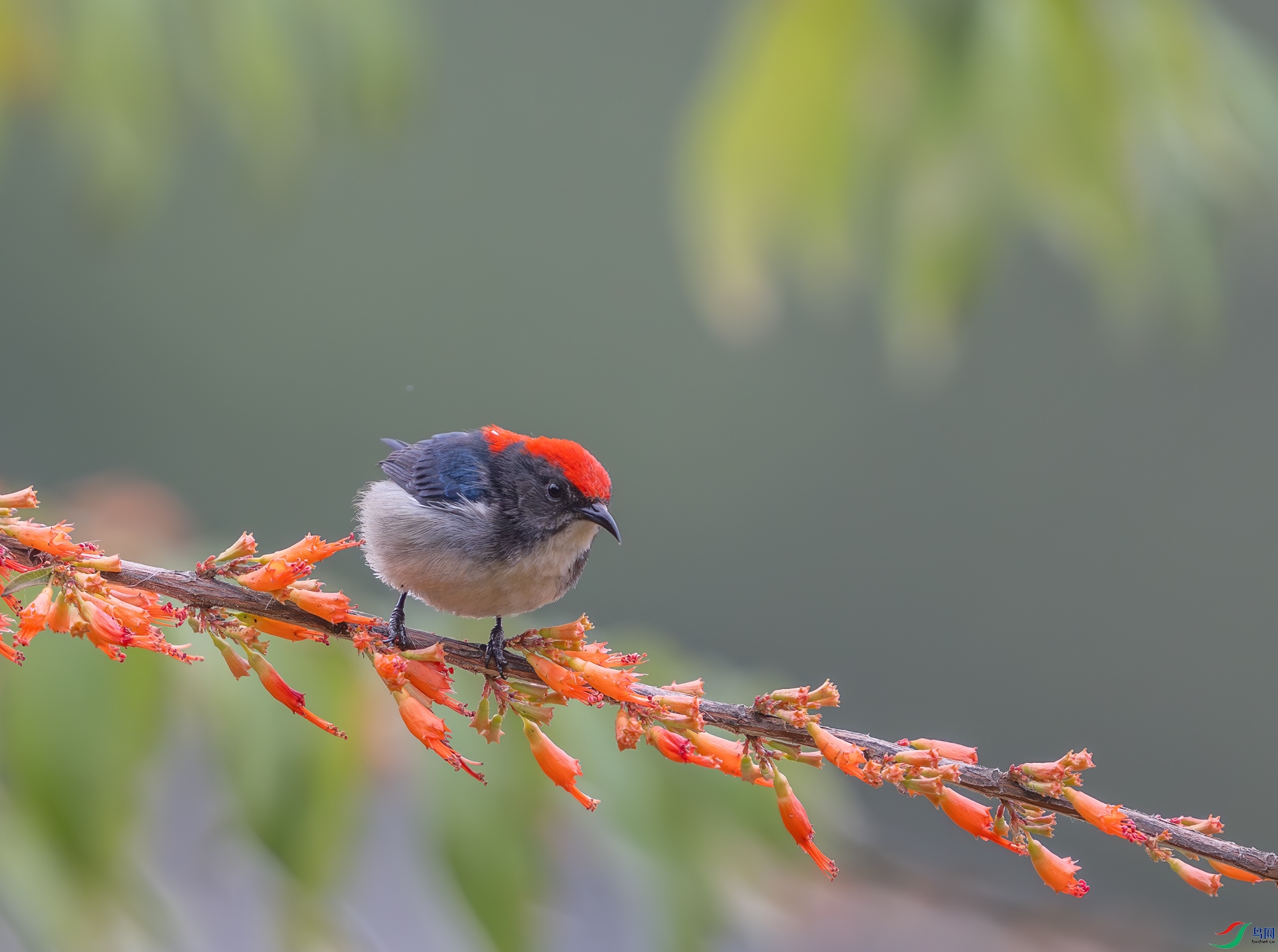 DSC_8476-1.jpg