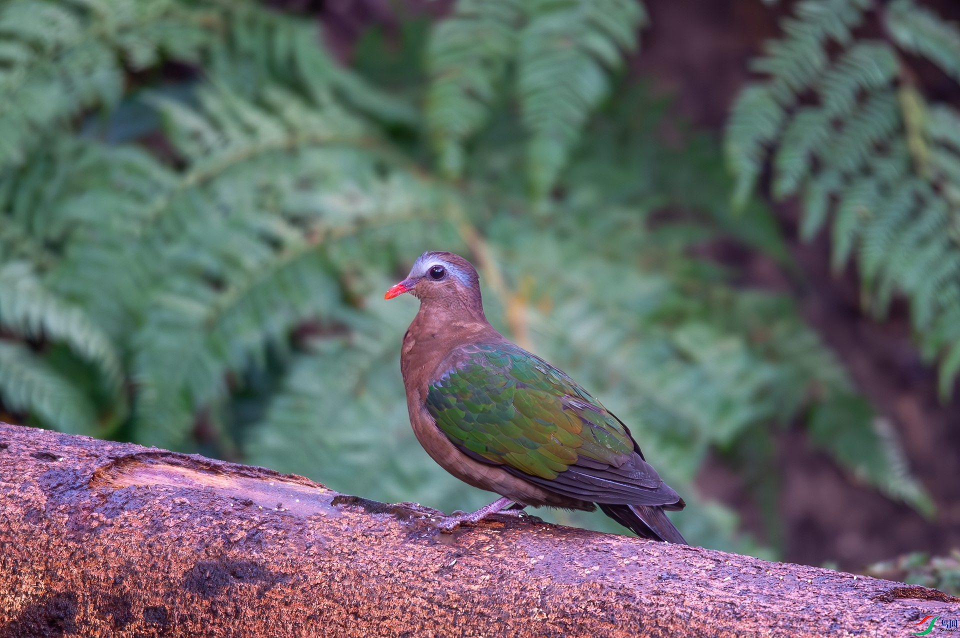 DSC_0432-3.jpg