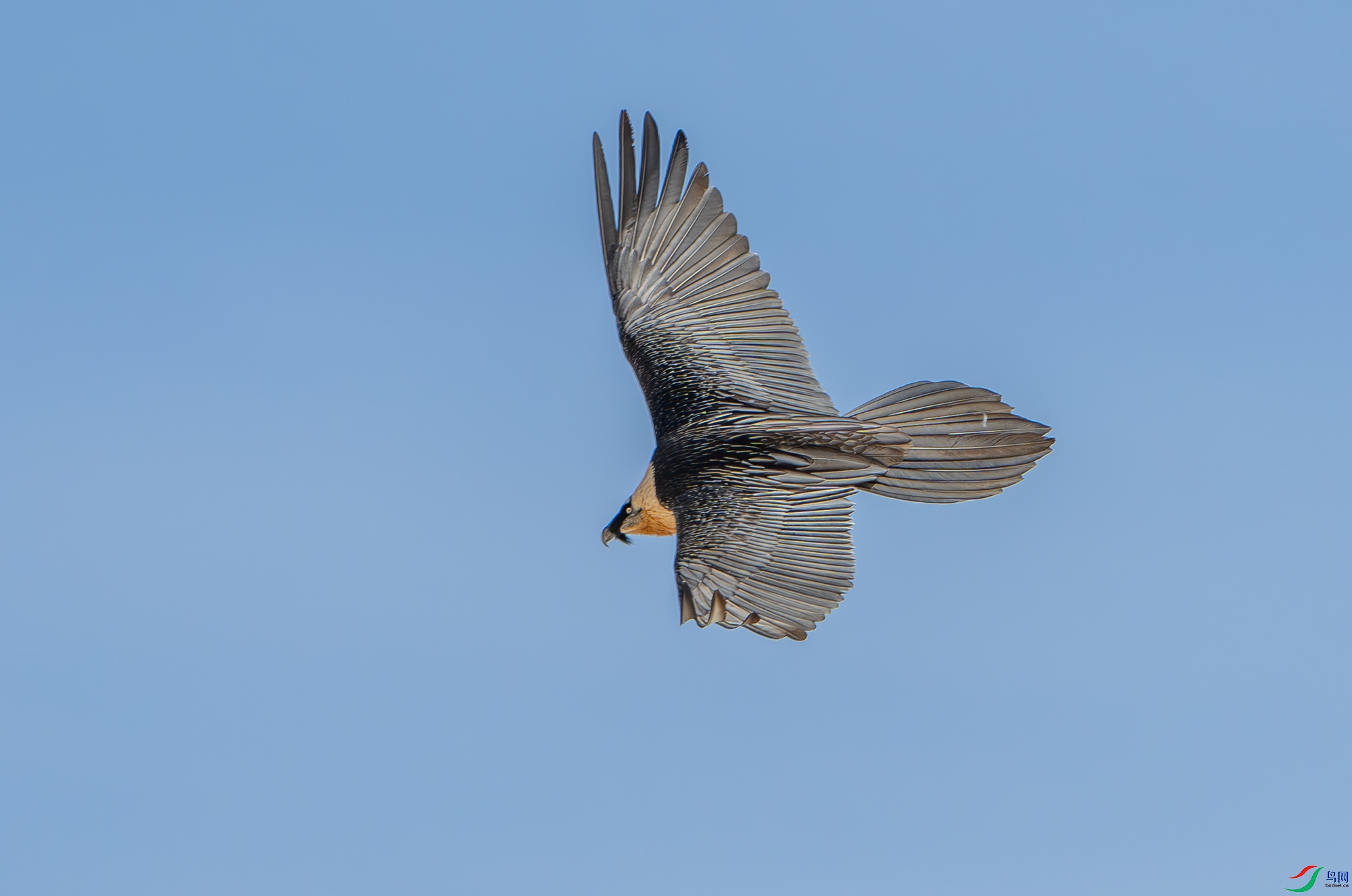 DSC_8665.jpg