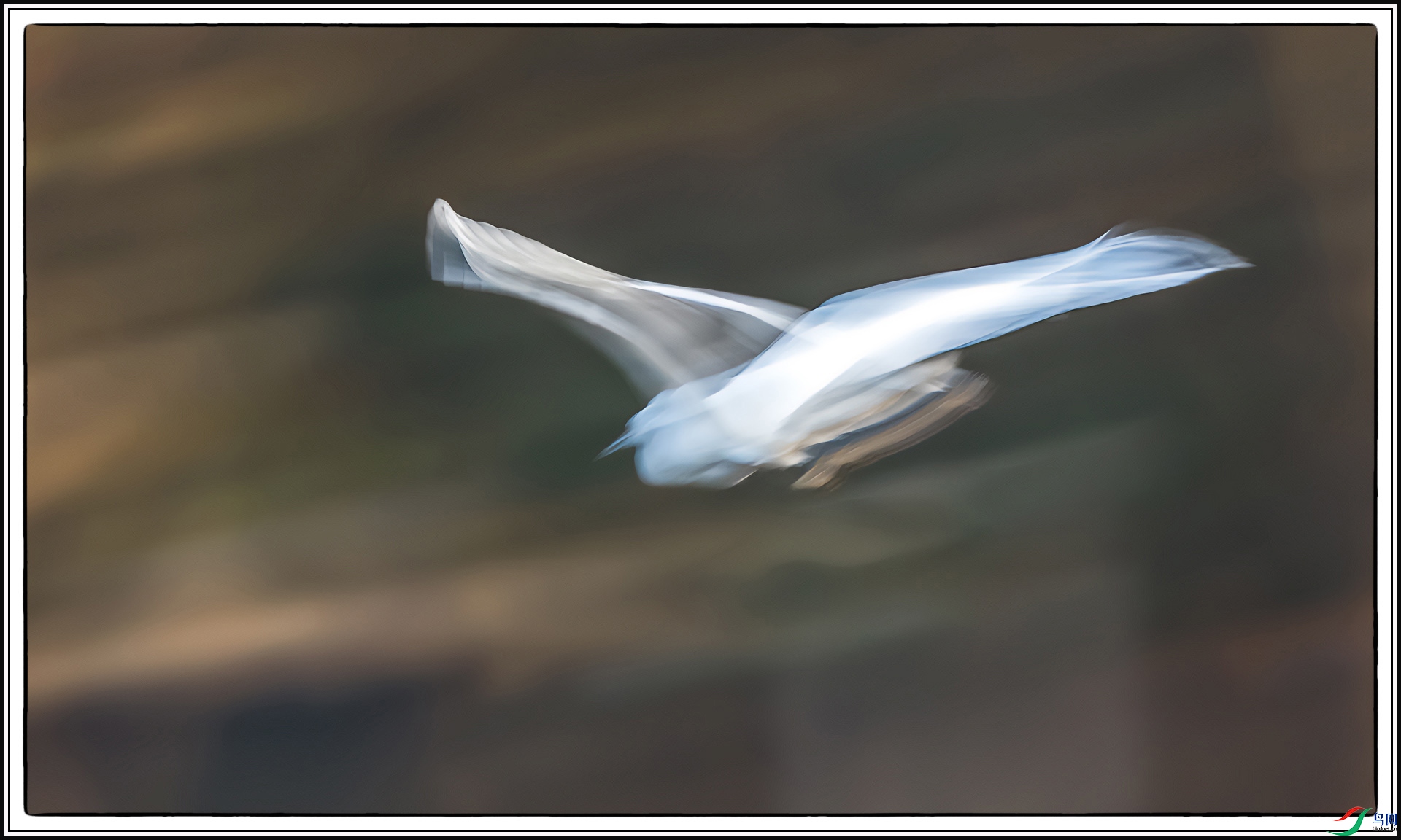 01.IMG_7927-gigapixel-art-scale-2_00x.jpg