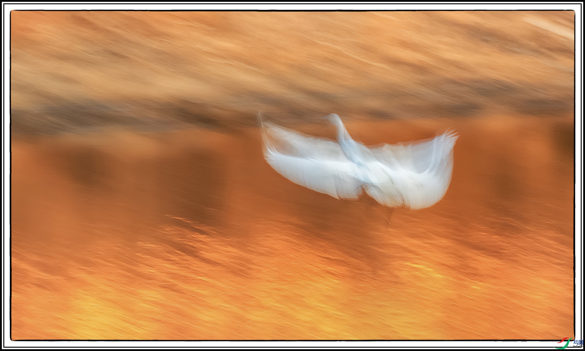 03.IMG_7934-gigapixel-art-scale-2_00x.jpg