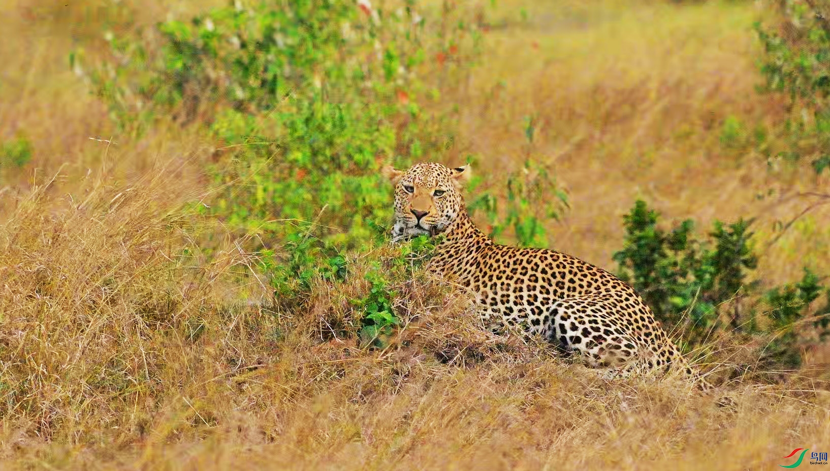 {111035E0-FDDE-45F9-9BF2-58DCAE14CC28} ����.jpg