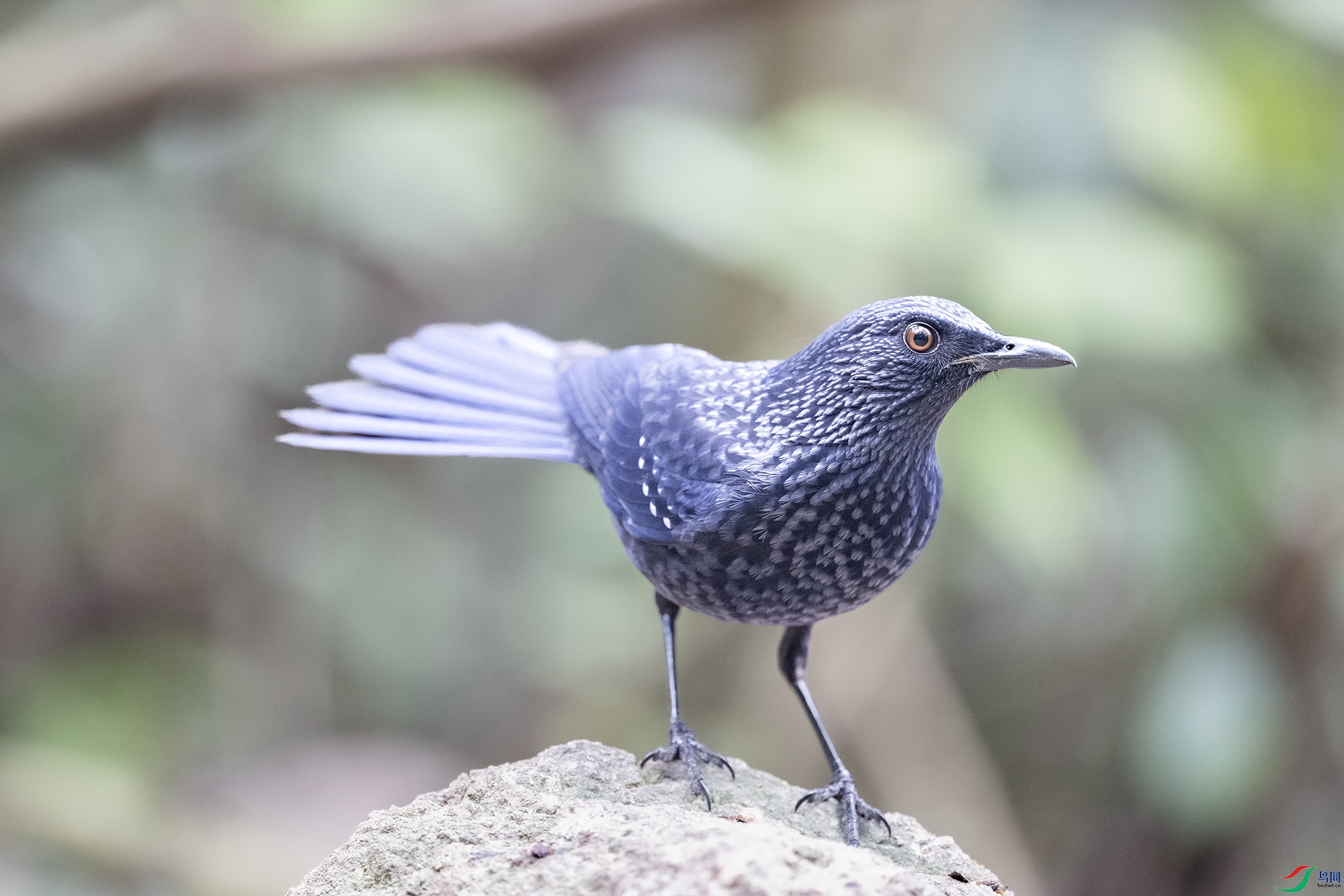 DSC_5478.jpg