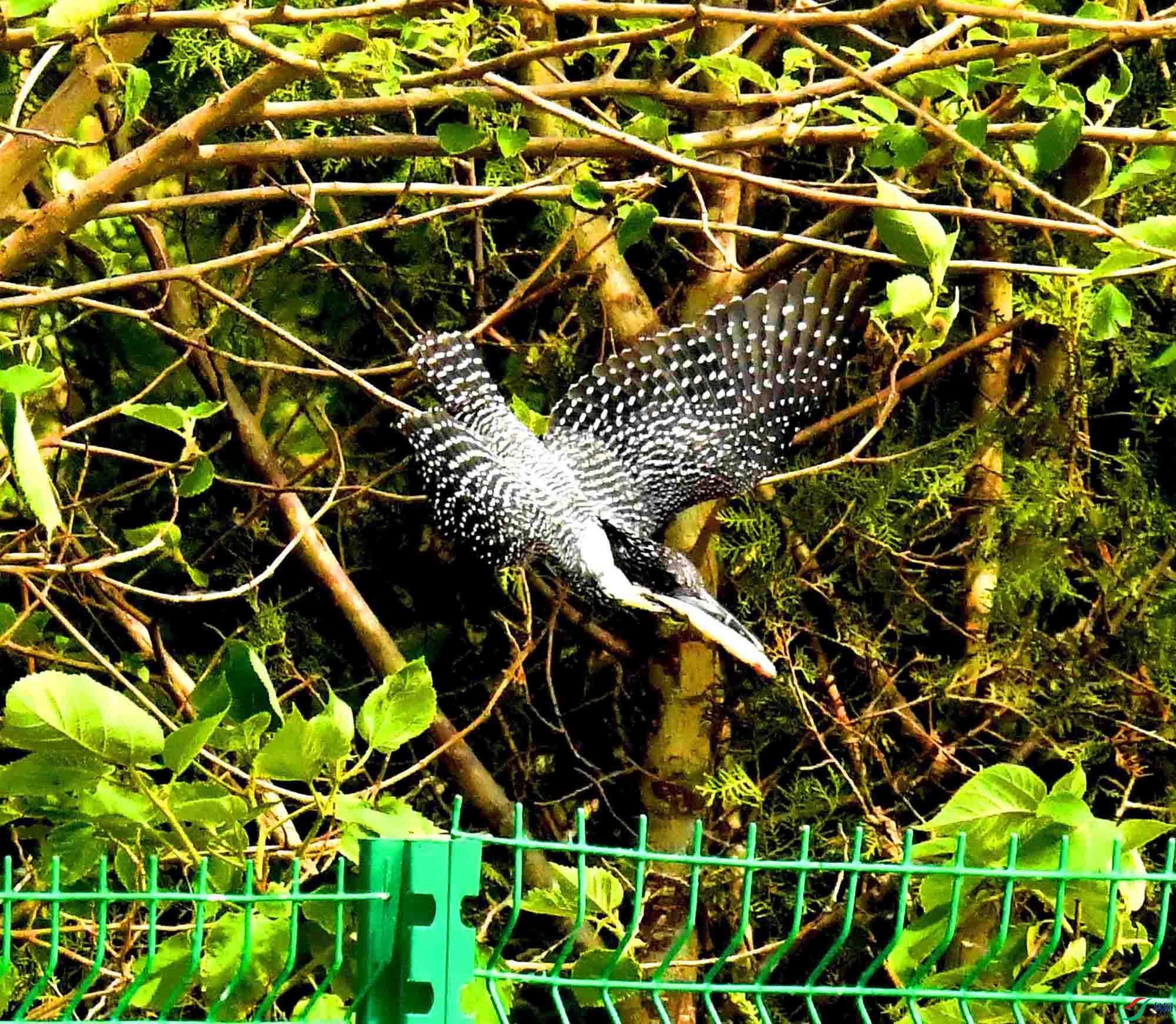 DSC_3746.JPG