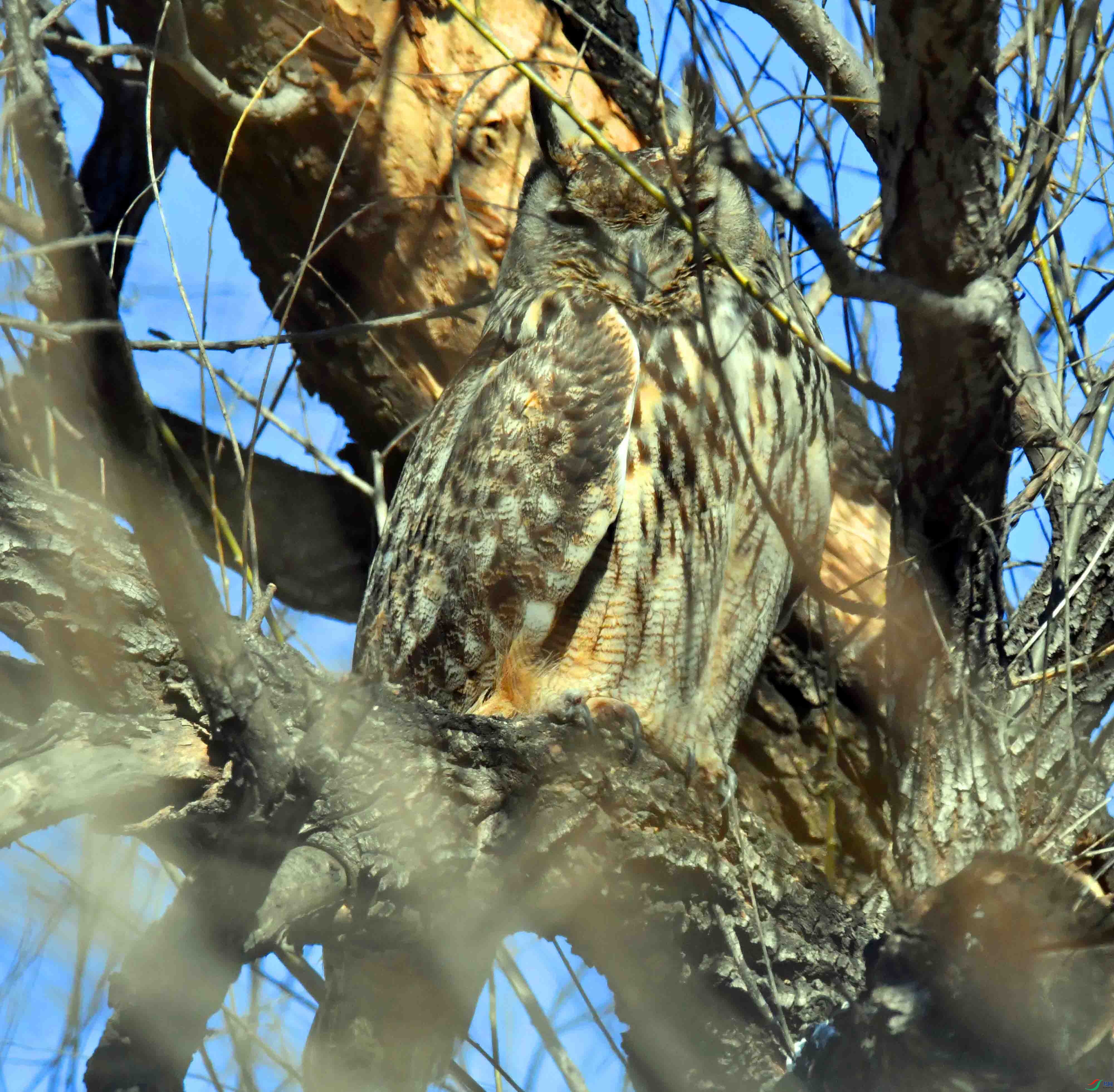DSC_4764.JPG