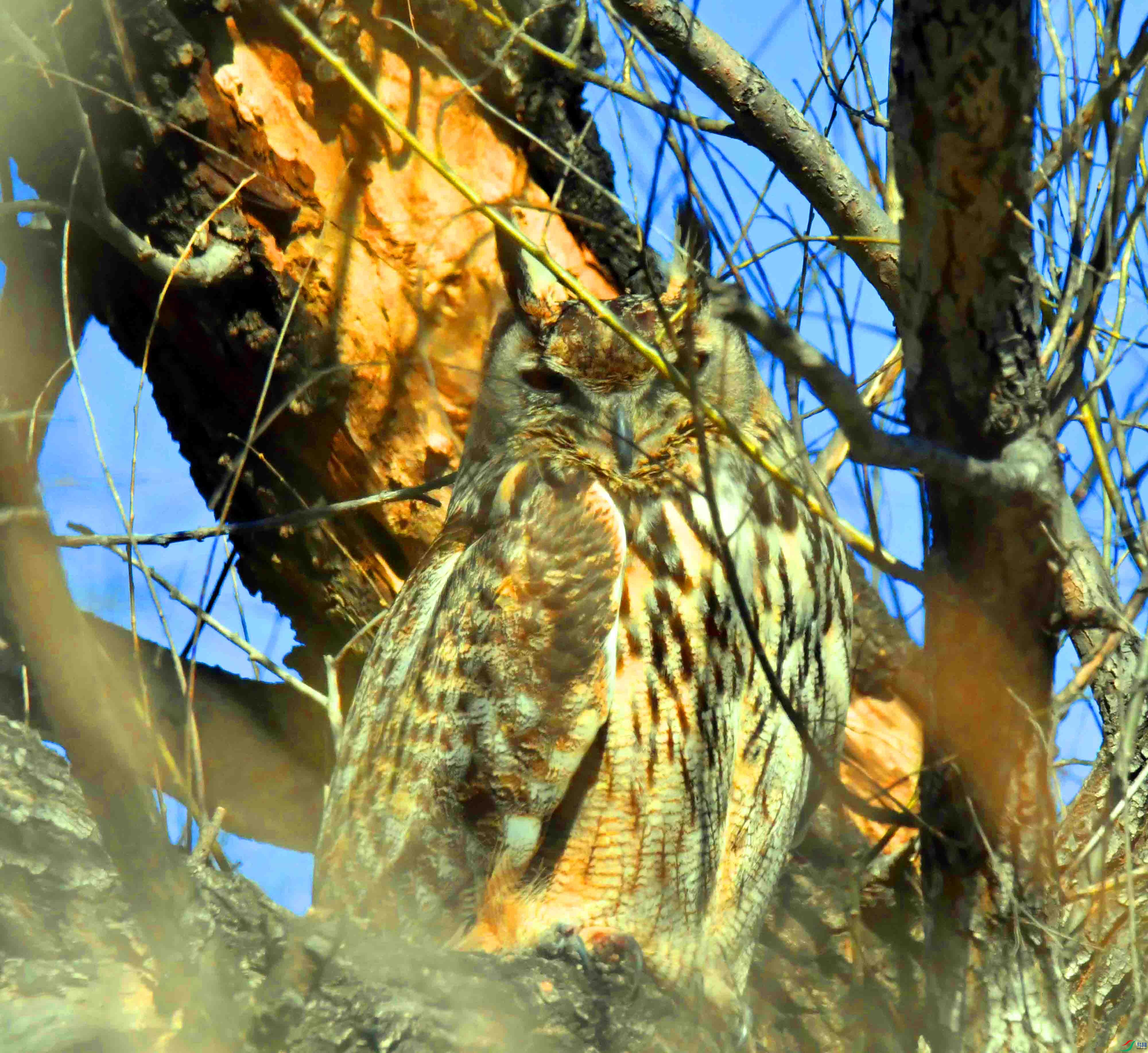 DSC_4837.JPG