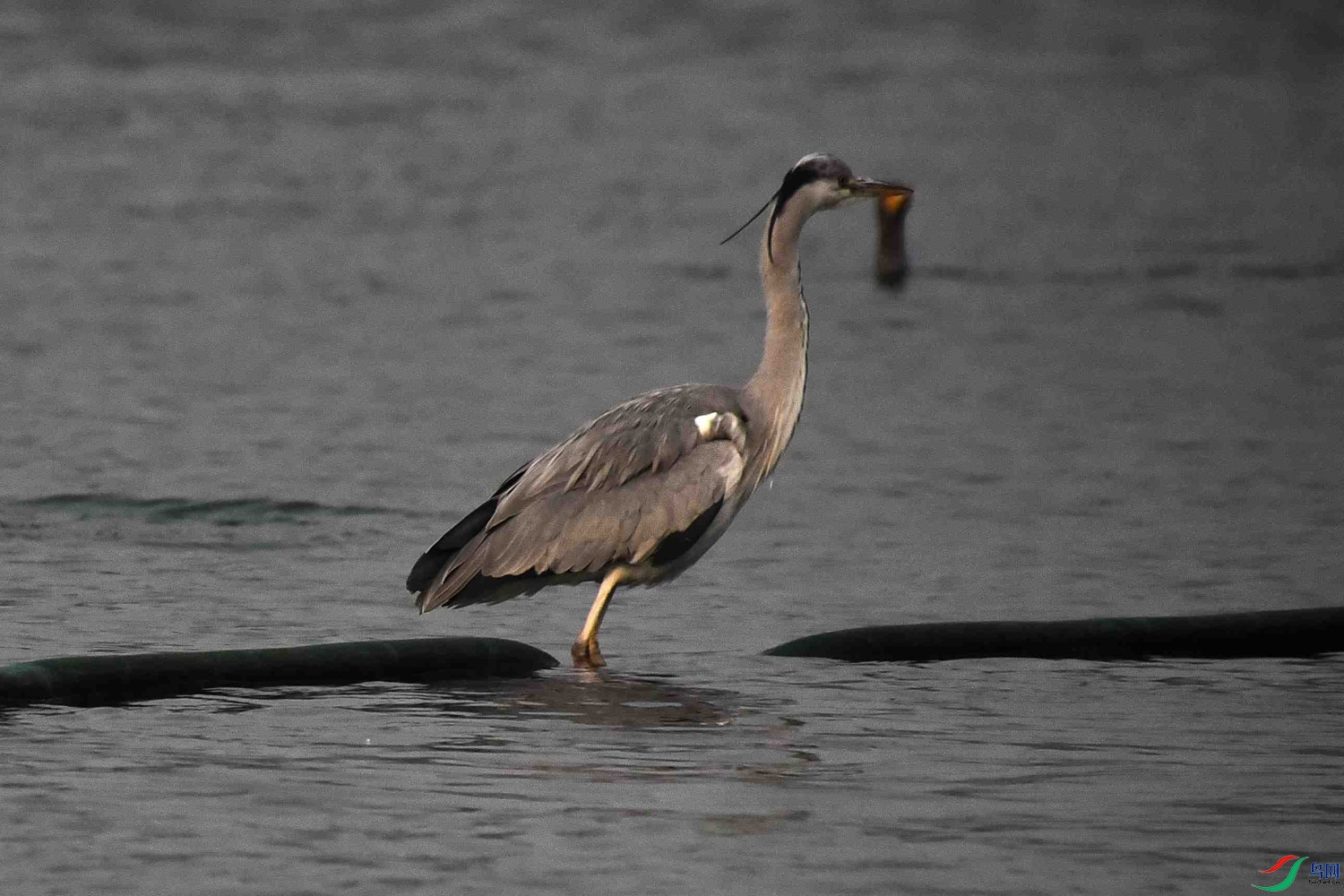 DSC_5473.JPG