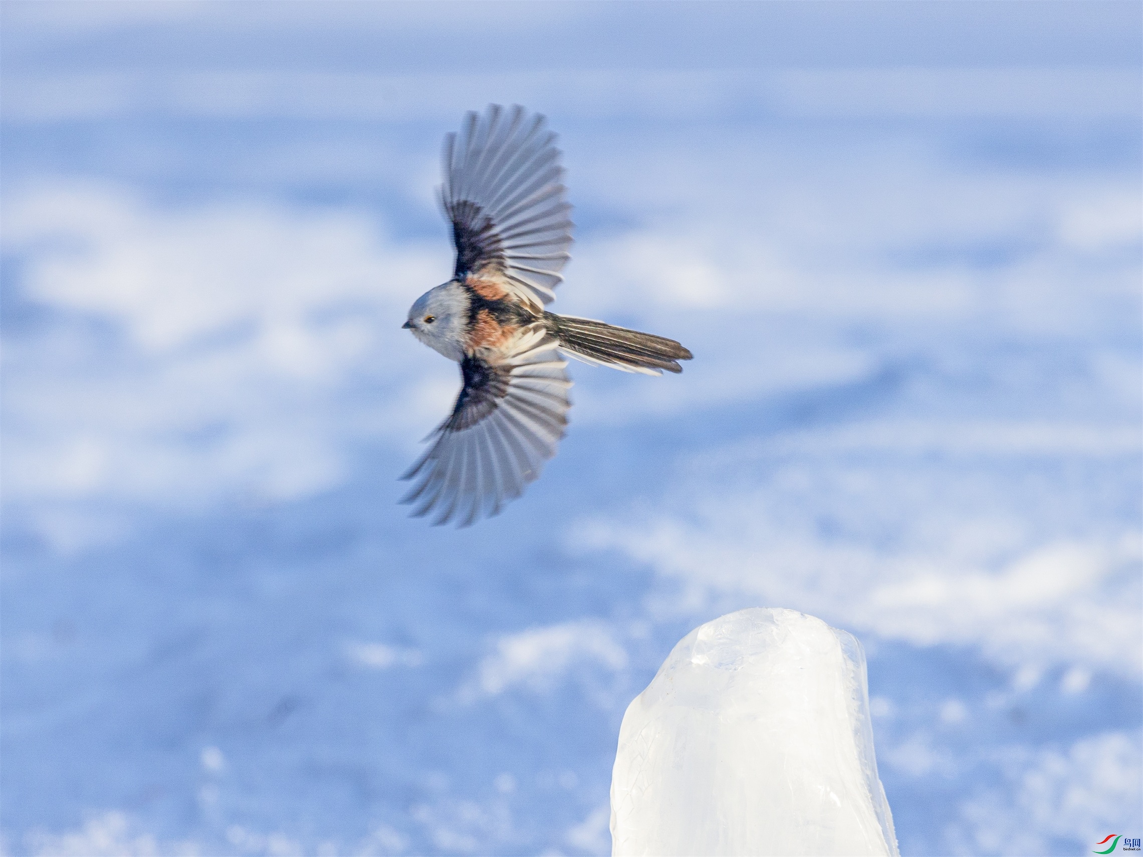 1K3A7154 ����1.jpg