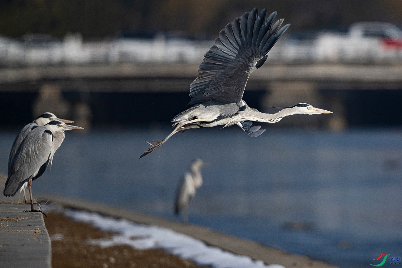 DSC_8820-.jpg