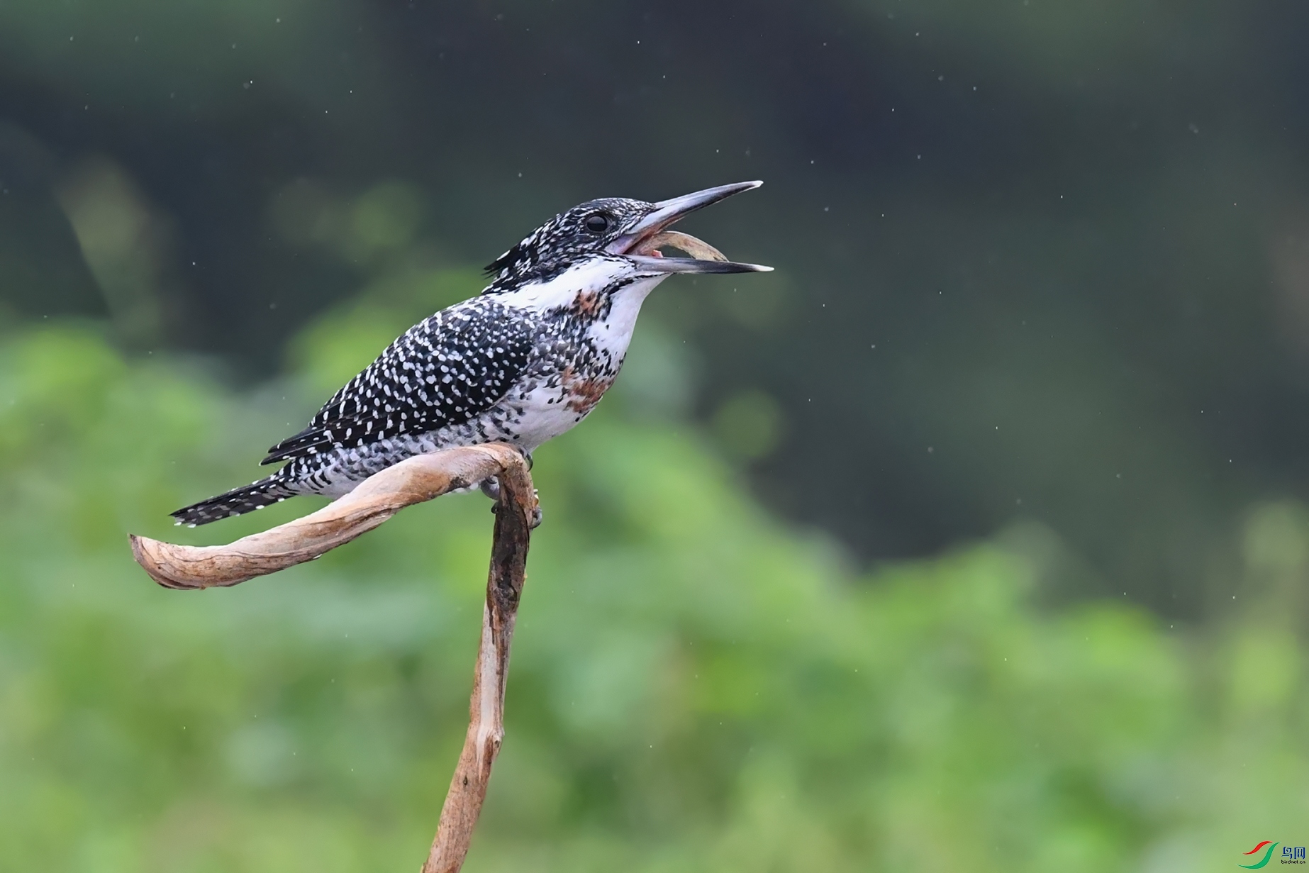 DSC_3086_DxOa.jpg