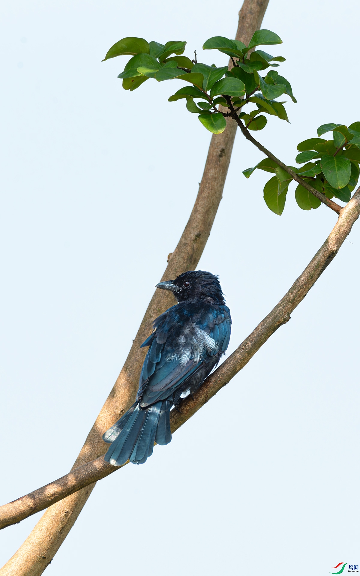 DSC_2641.jpg