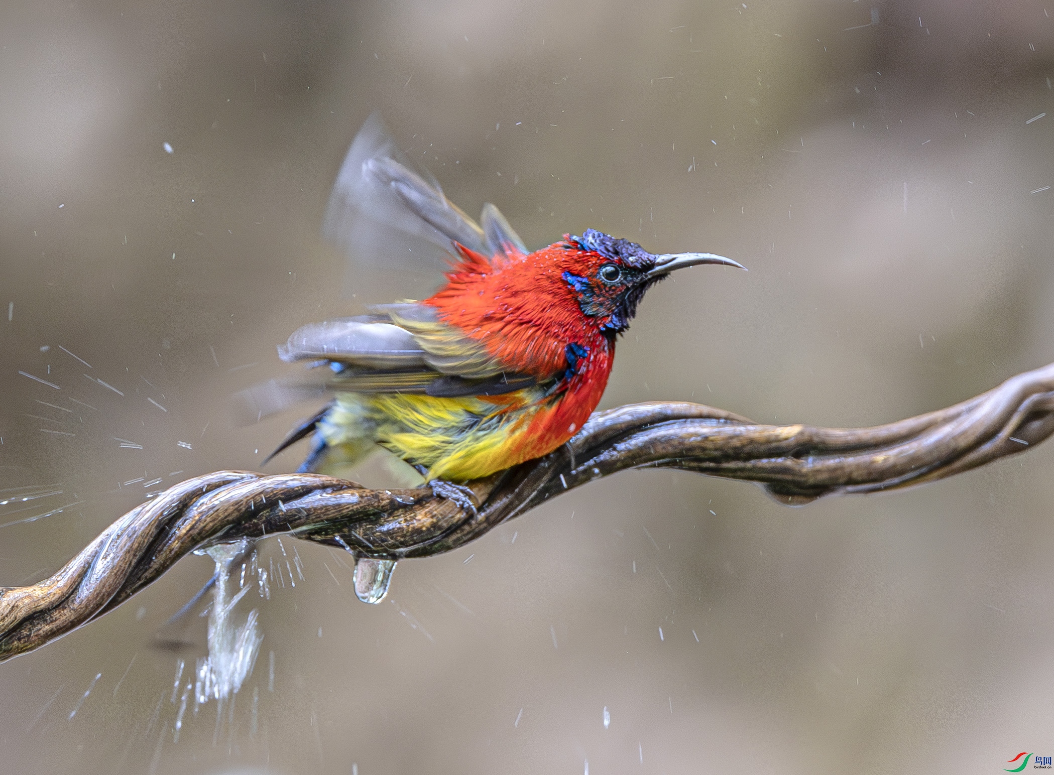 A46I0874-����ǿ-NR ����.jpg