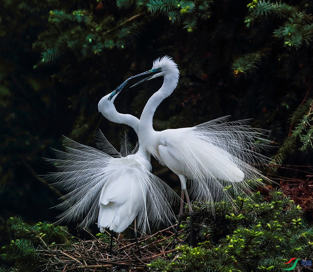 ���� (2).JPG