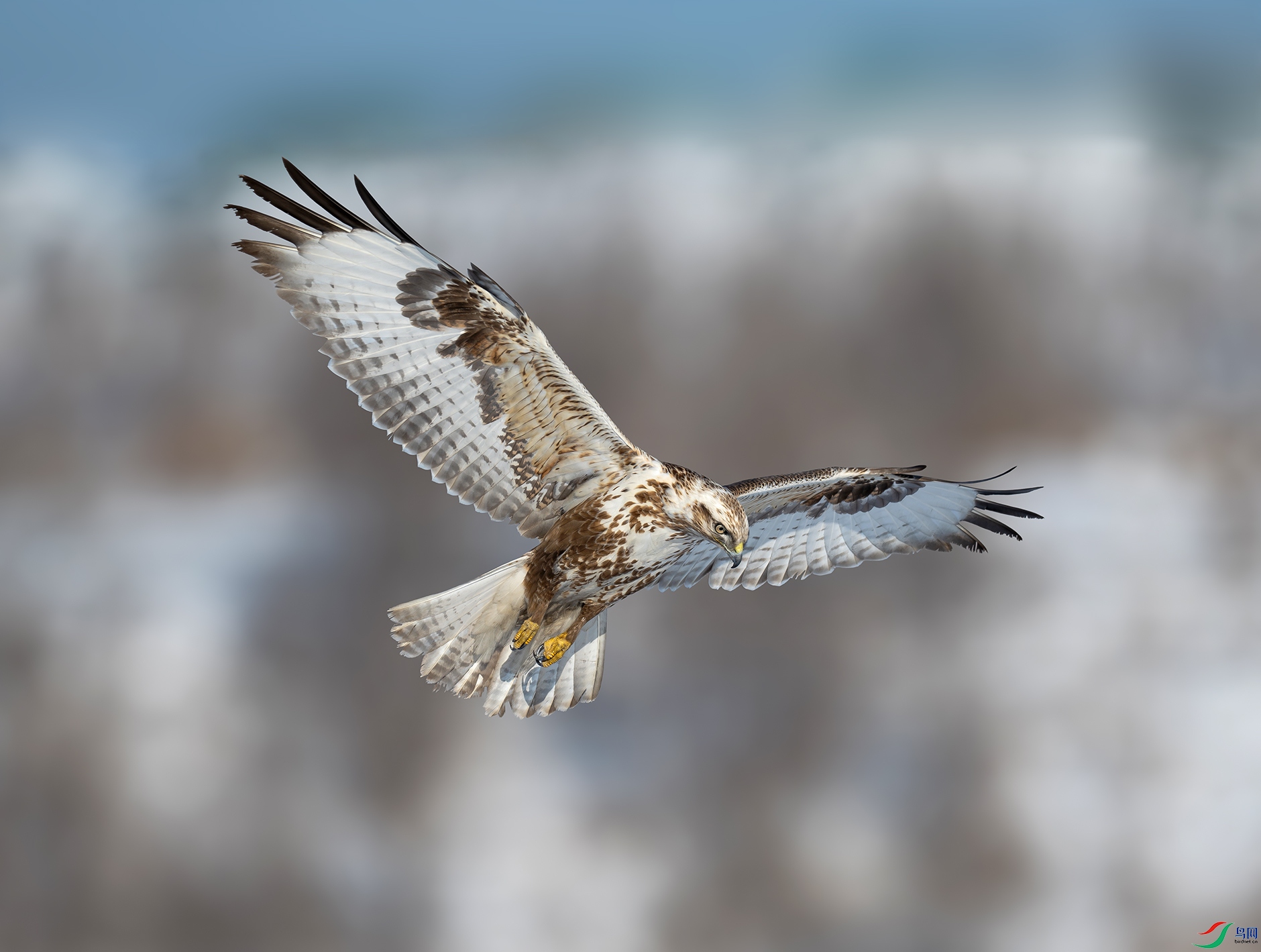 DSC_1925d.jpg