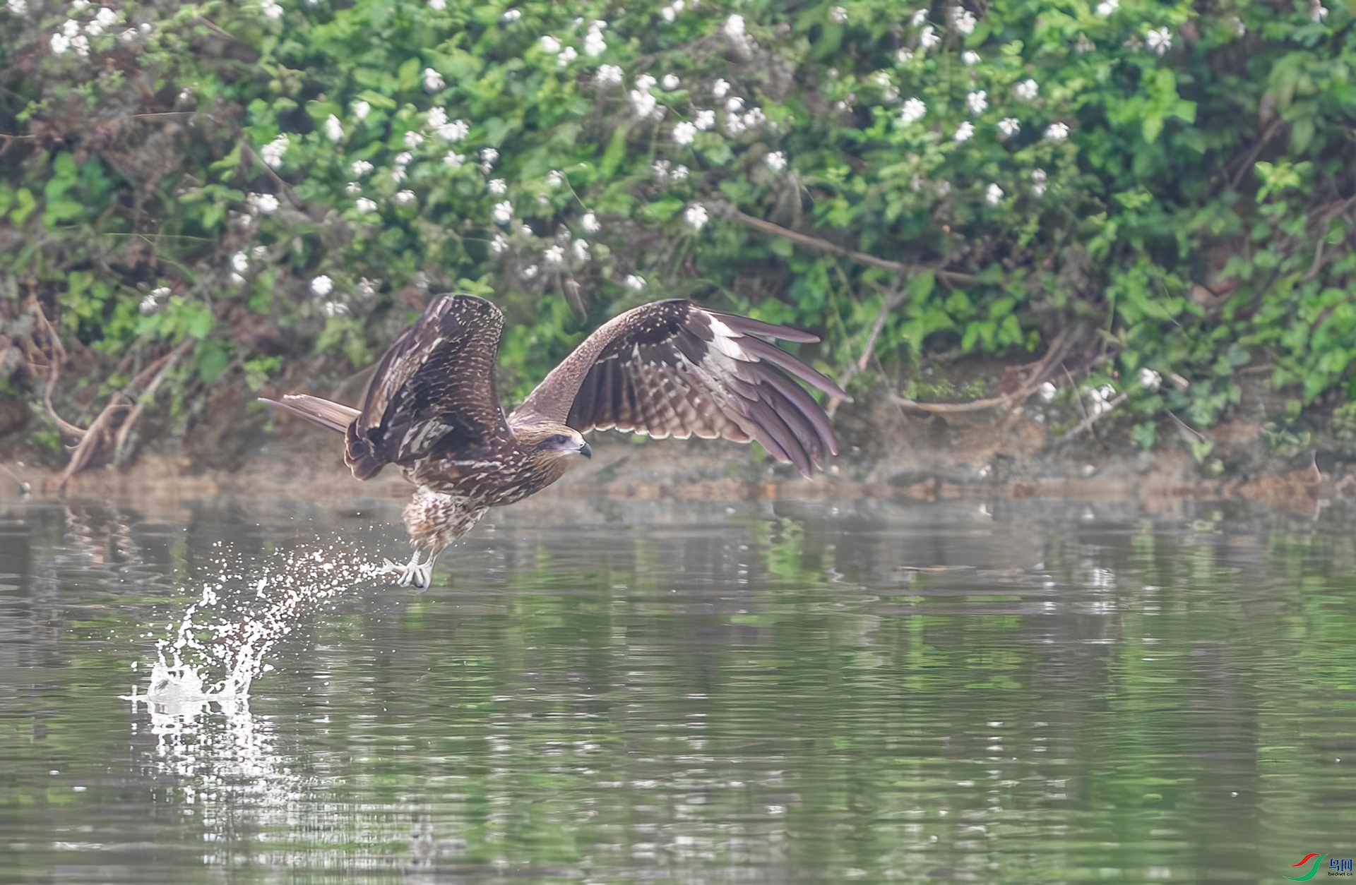 DSC_8270-1.jpg