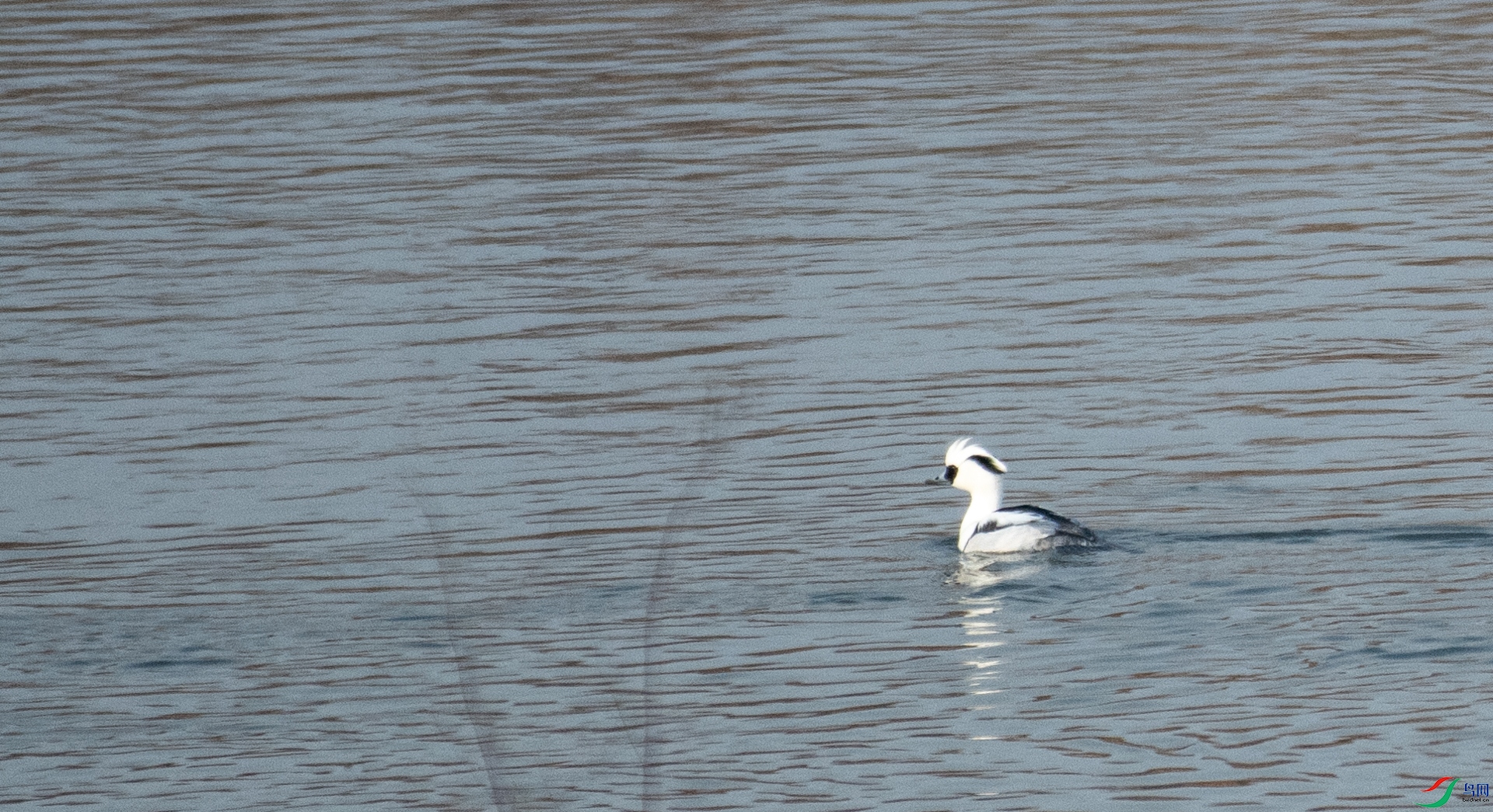 DSC_8089.jpg