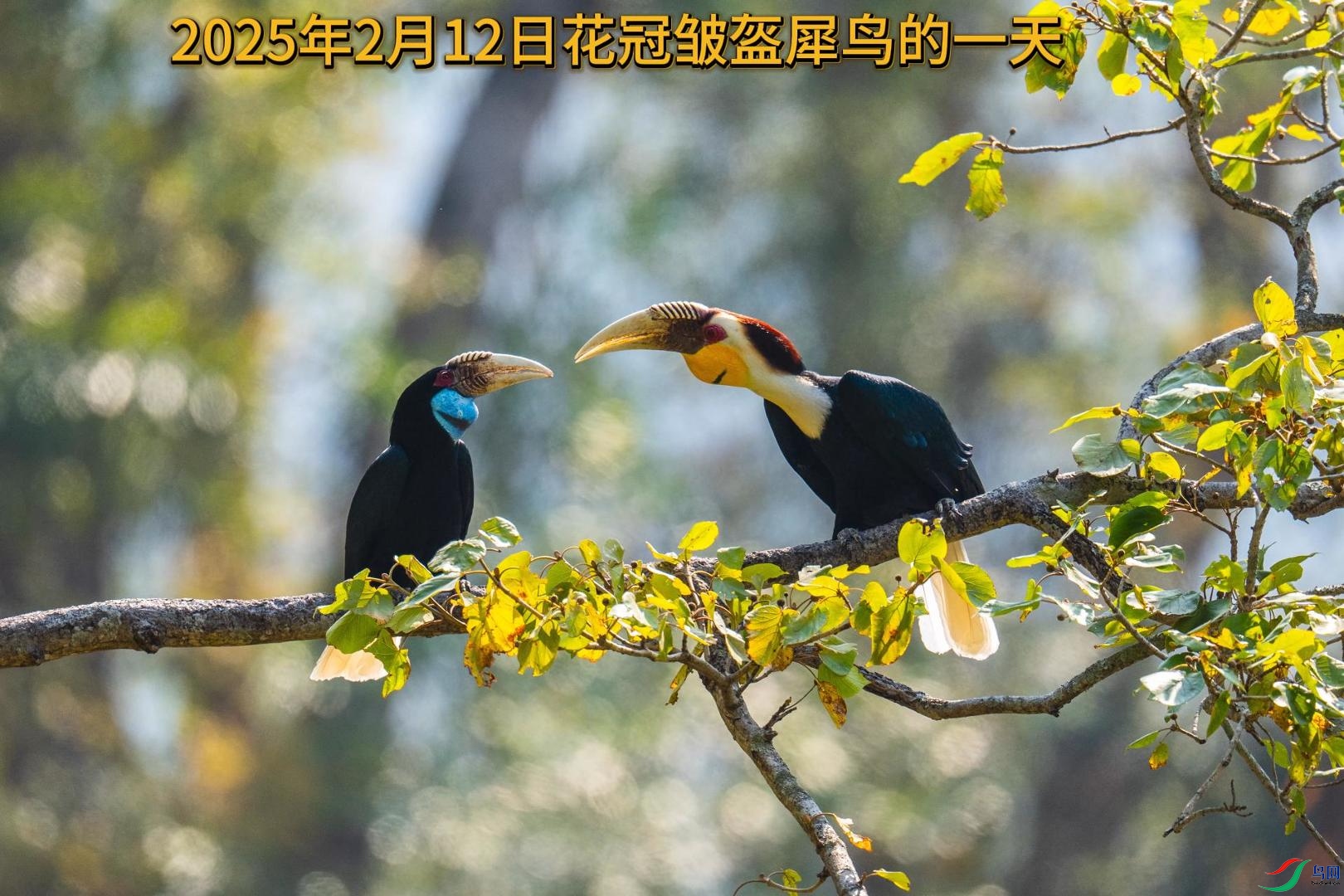 2��26�� (1)-����.jpg