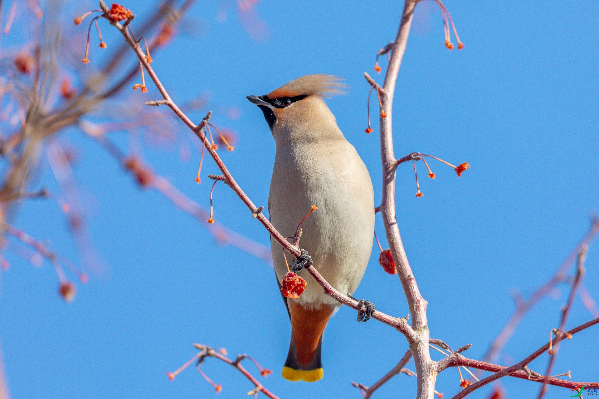 ����ʮ������