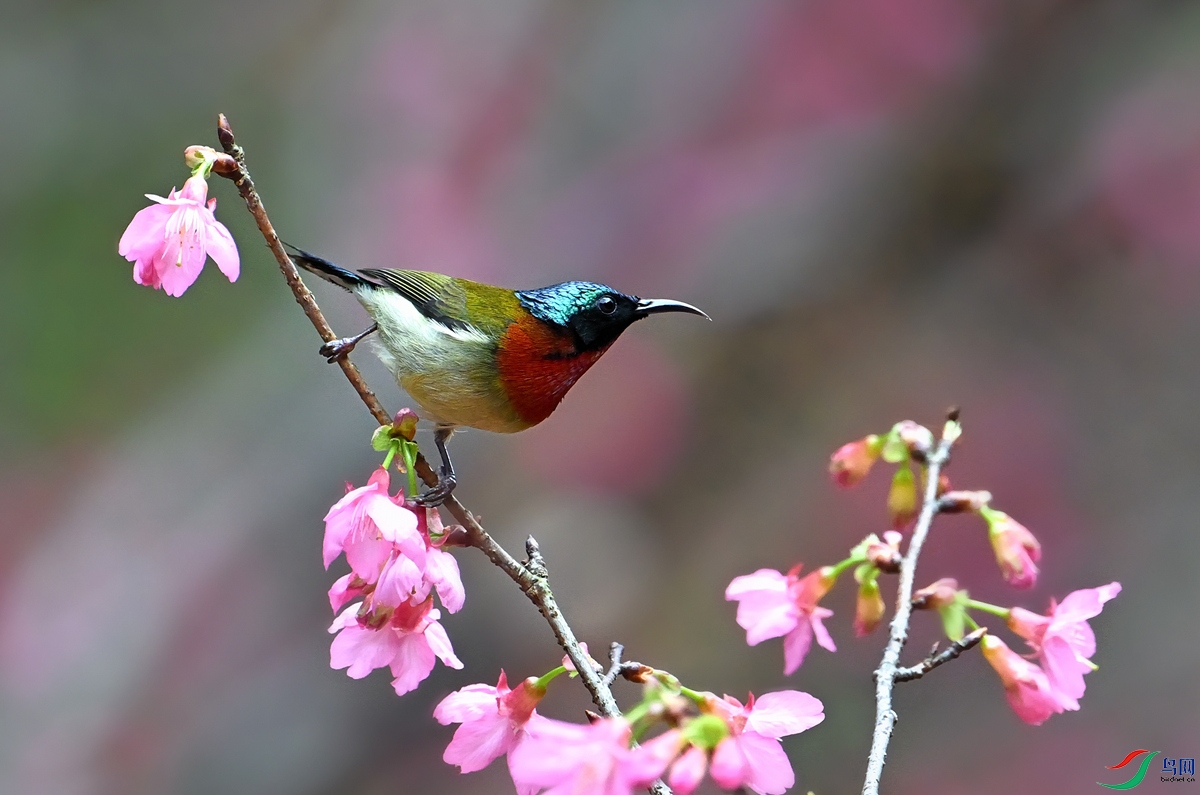 DSC_8177.jpg