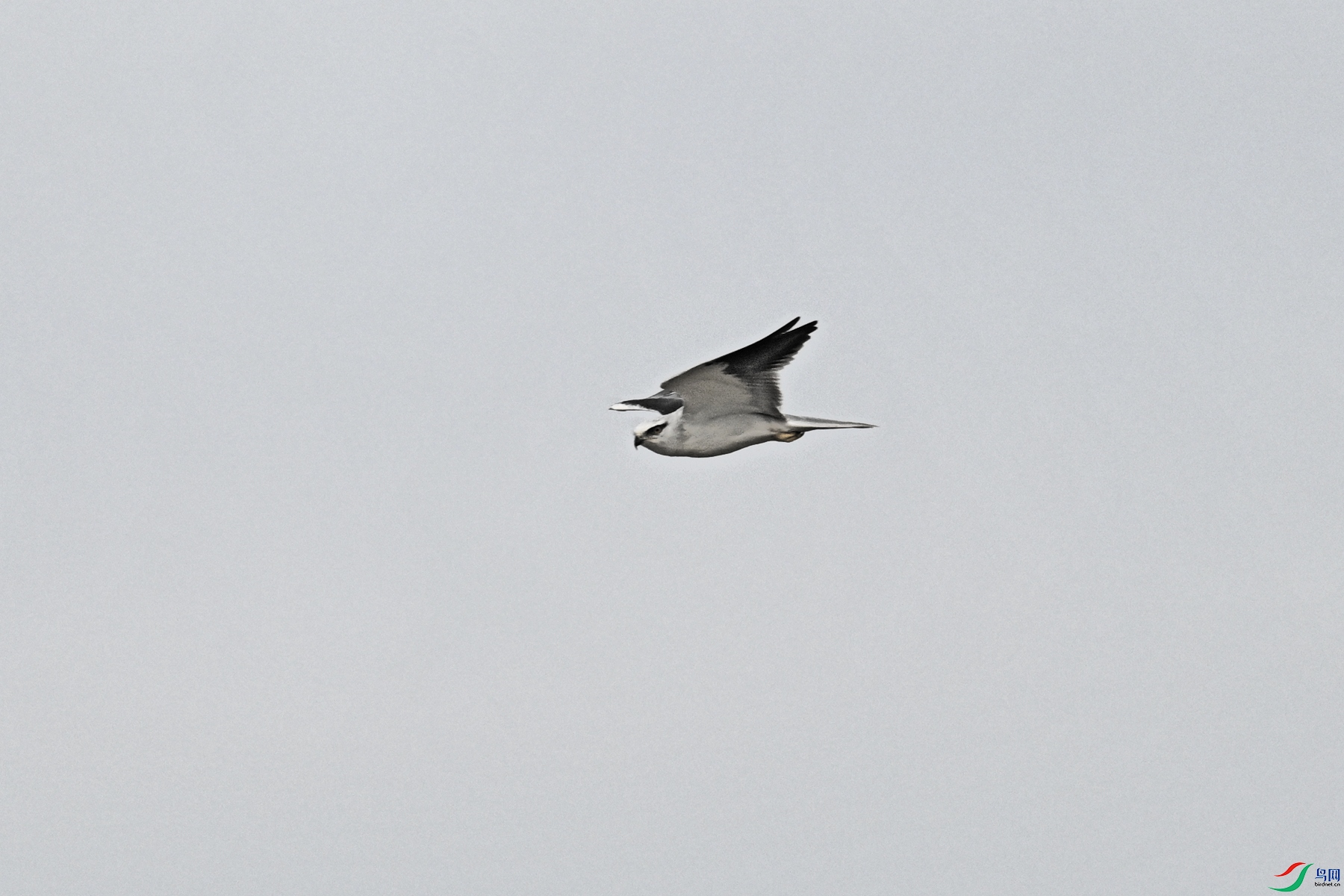 DSC_4930.JPG