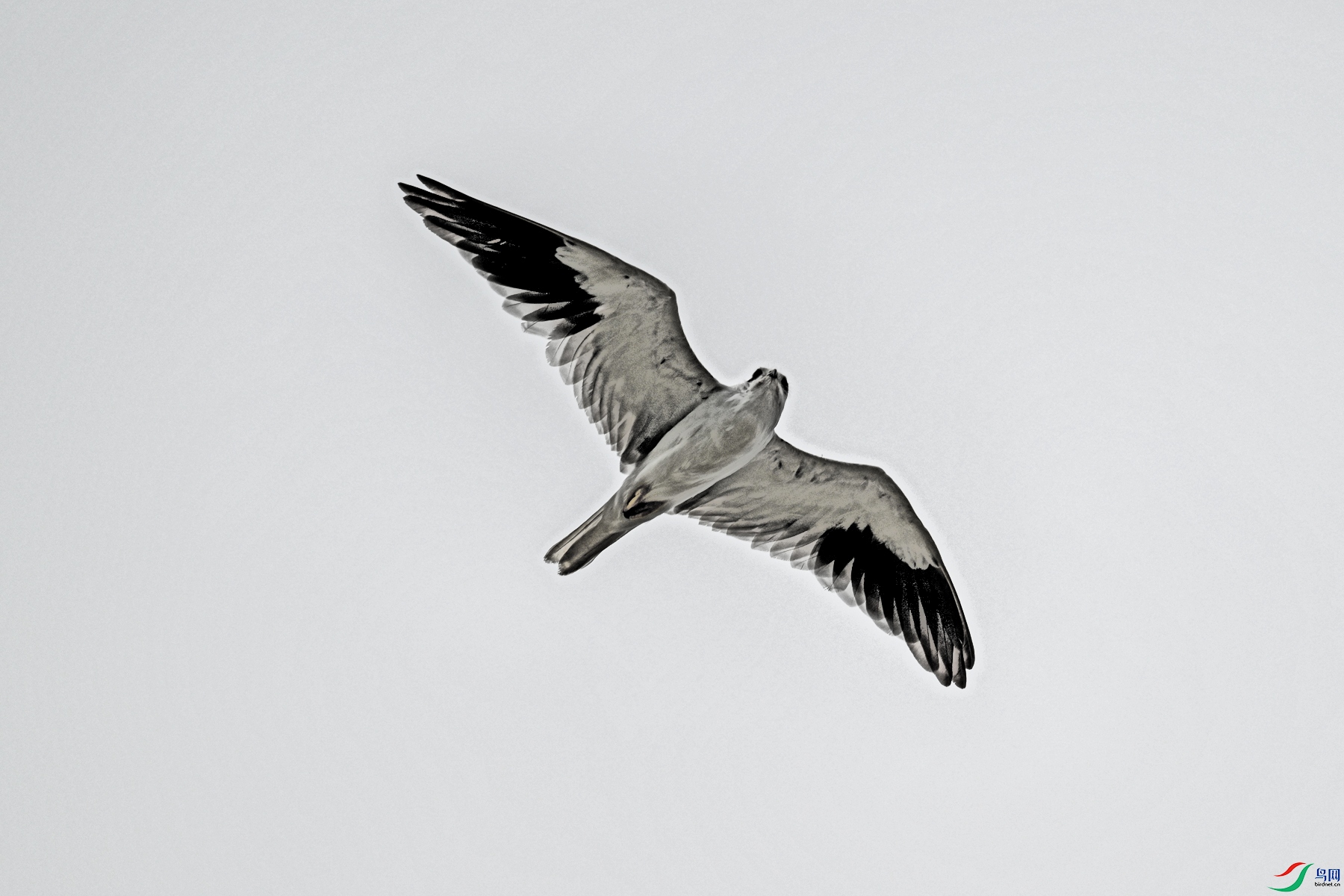 DSC_4955.JPG
