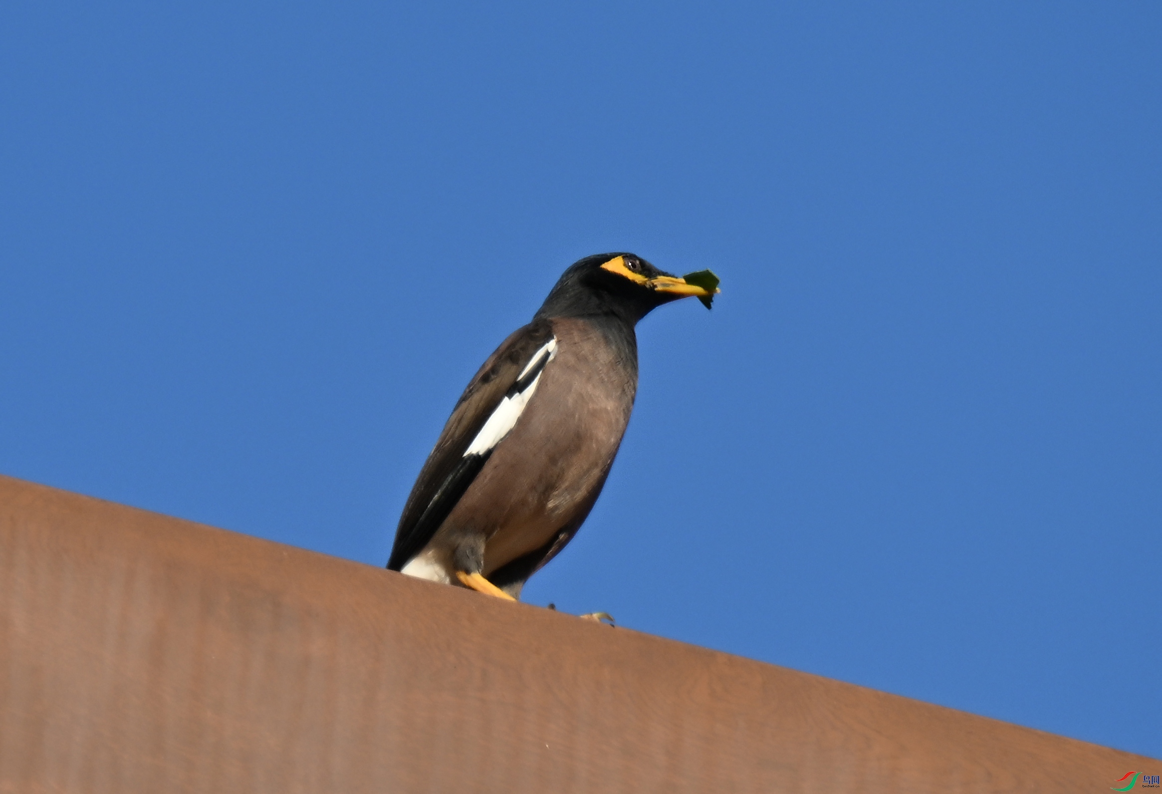 DSC_0033.jpg