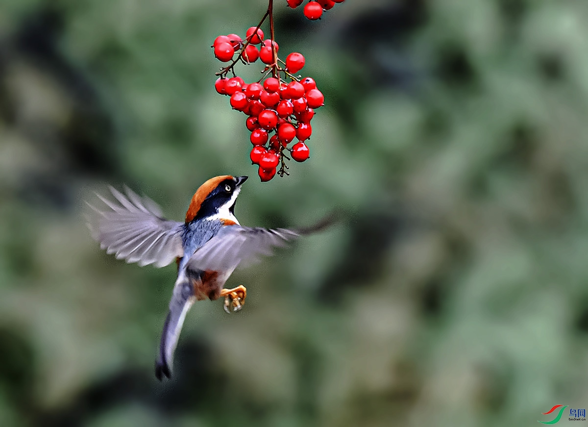 DSC_3639.jpg
