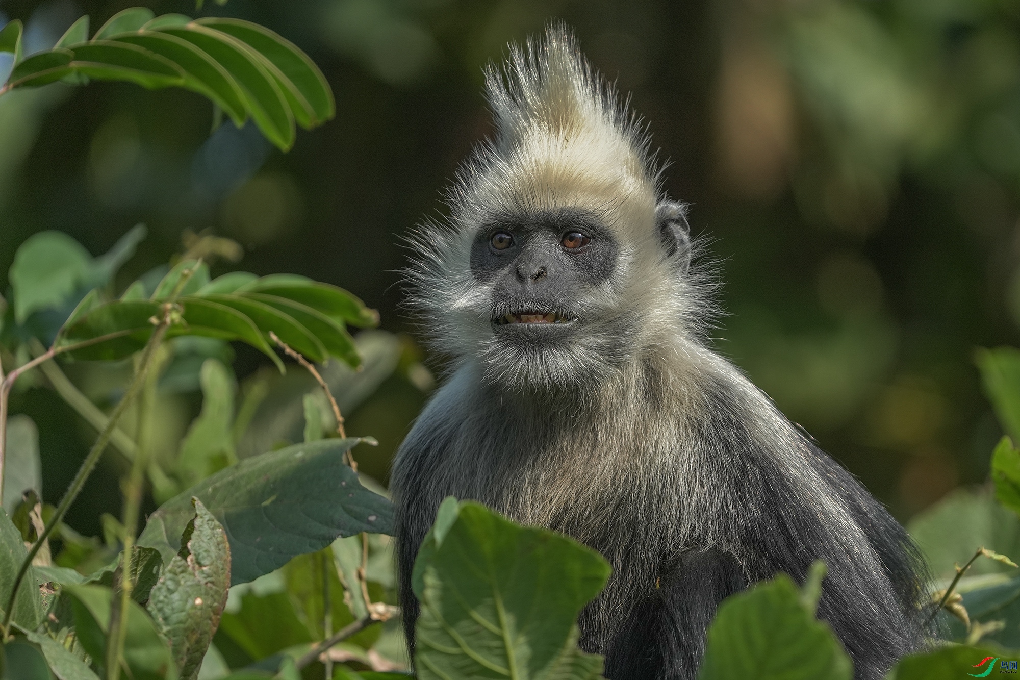 DSC05251 ����11.jpg