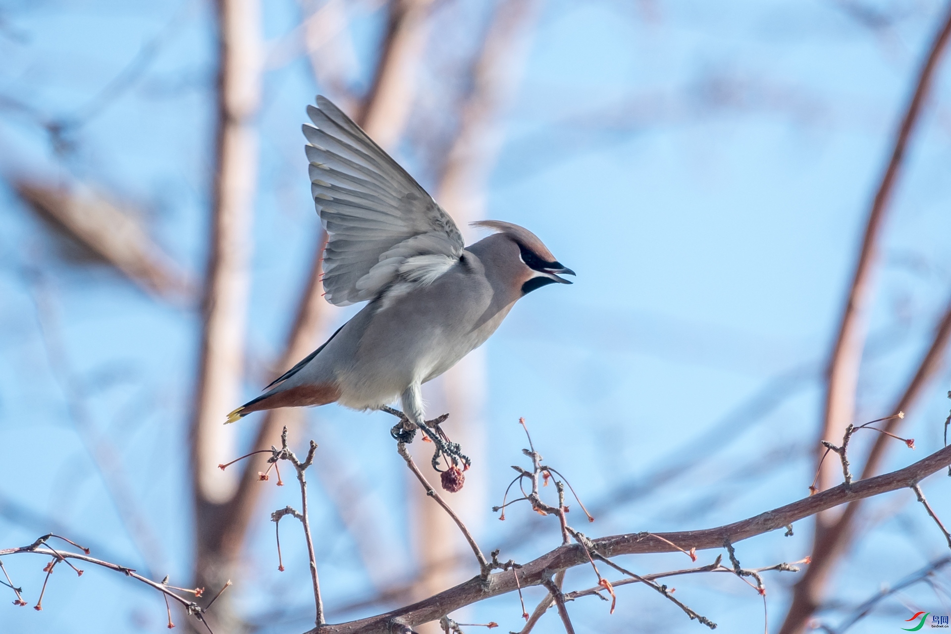 DSC_4197_����.jpg