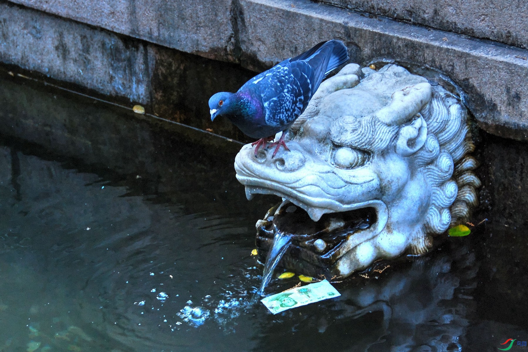 DSC_4002_Ī����.jpg