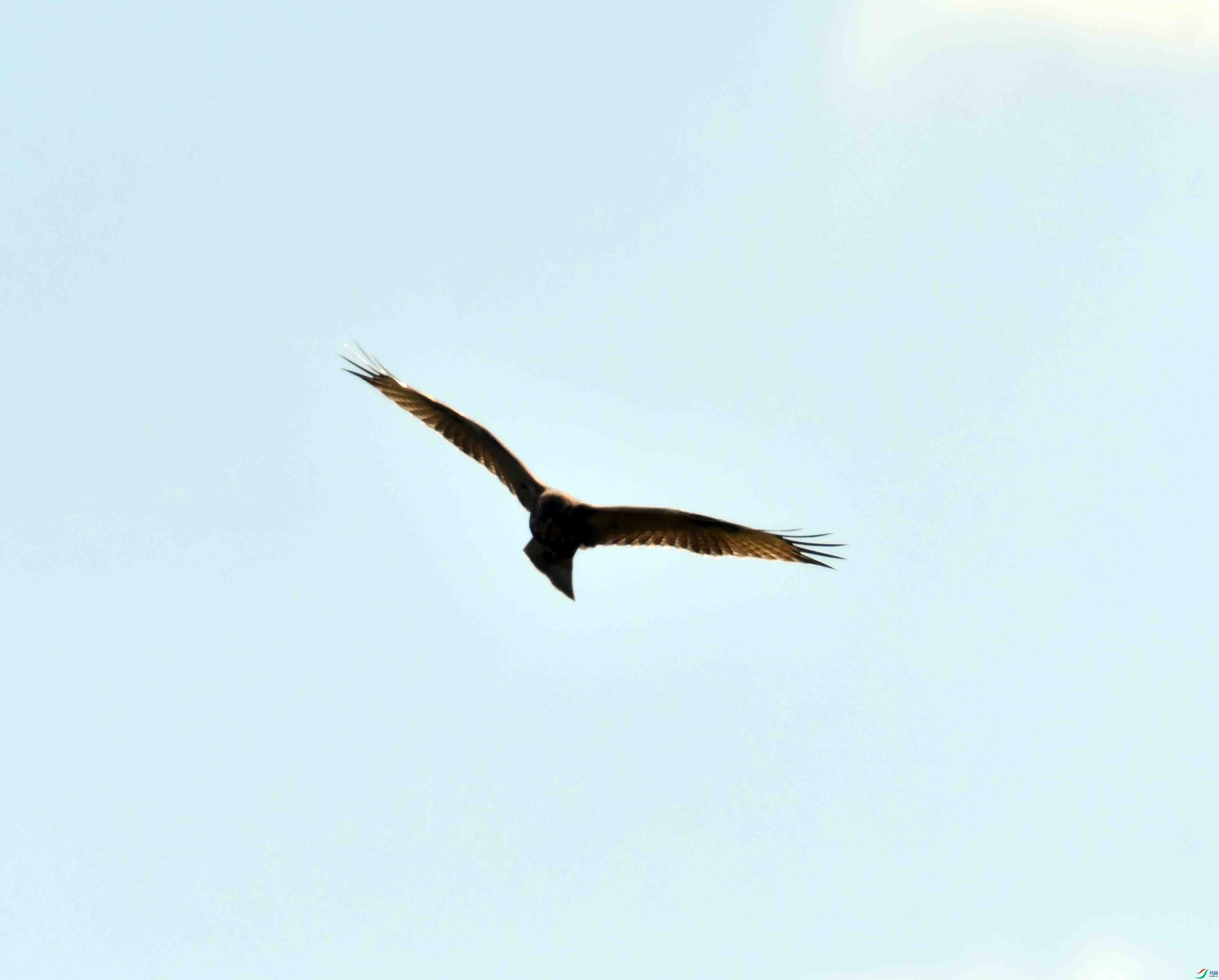 DSC_9113.JPG