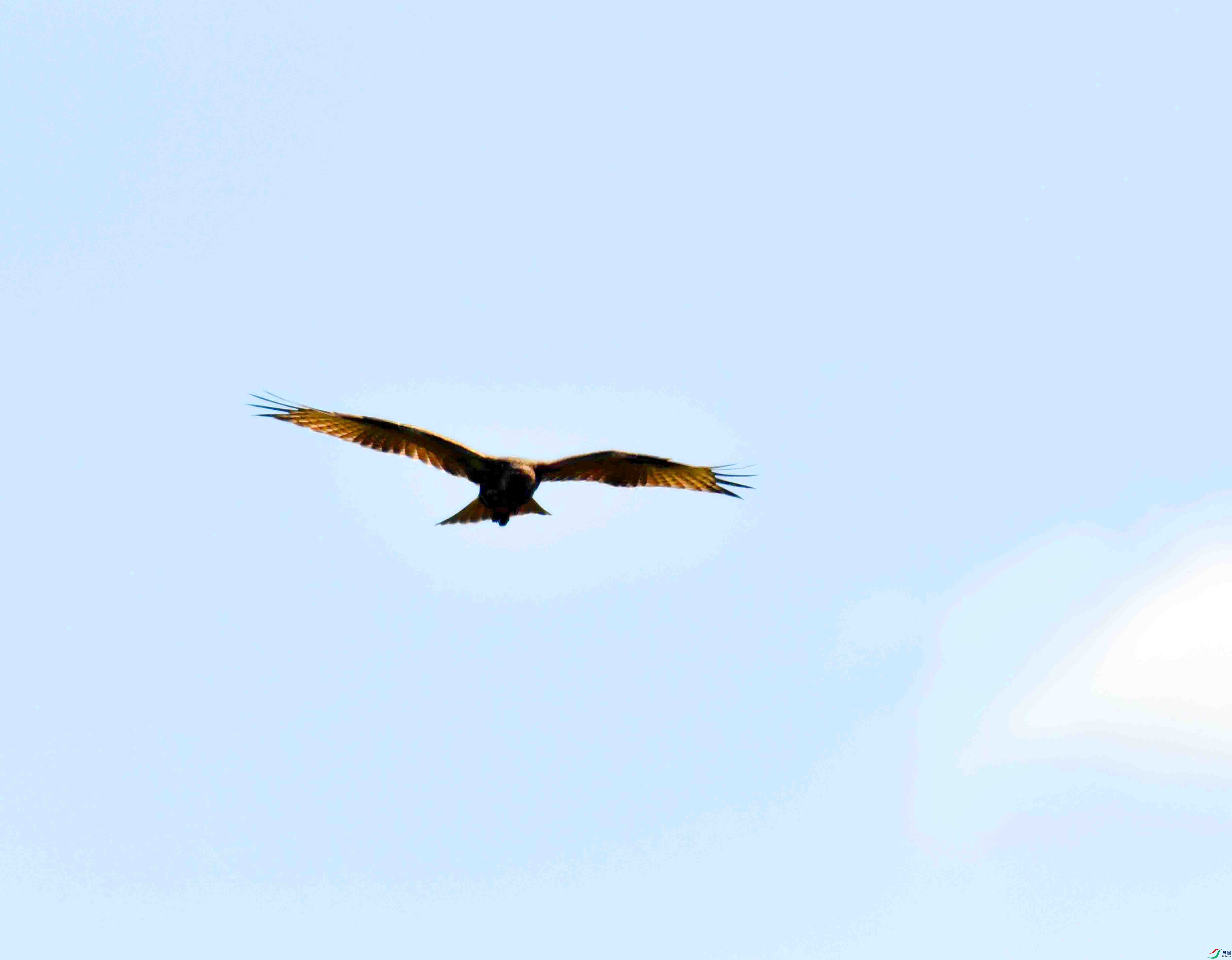 DSC_9117.JPG