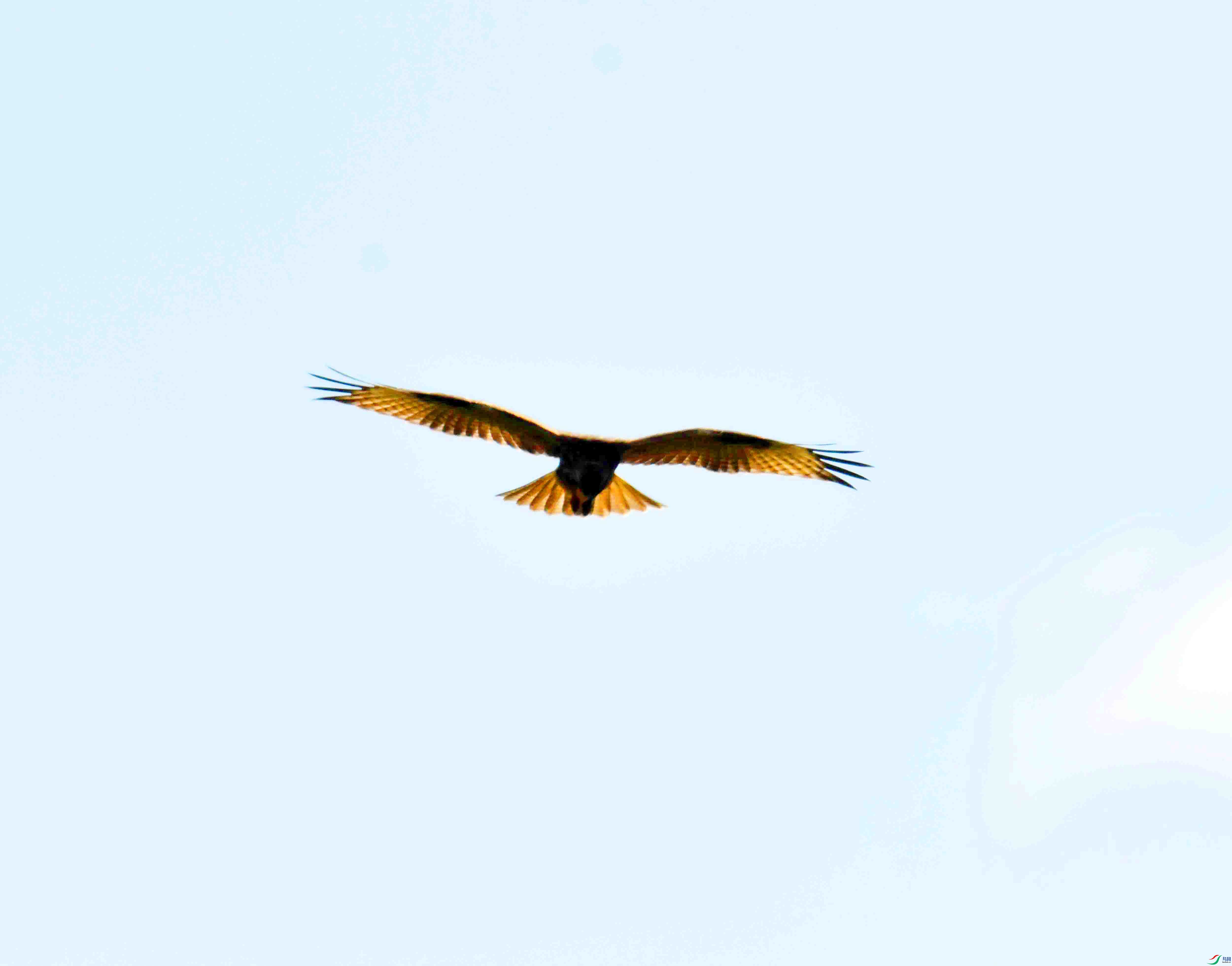 DSC_9115.JPG