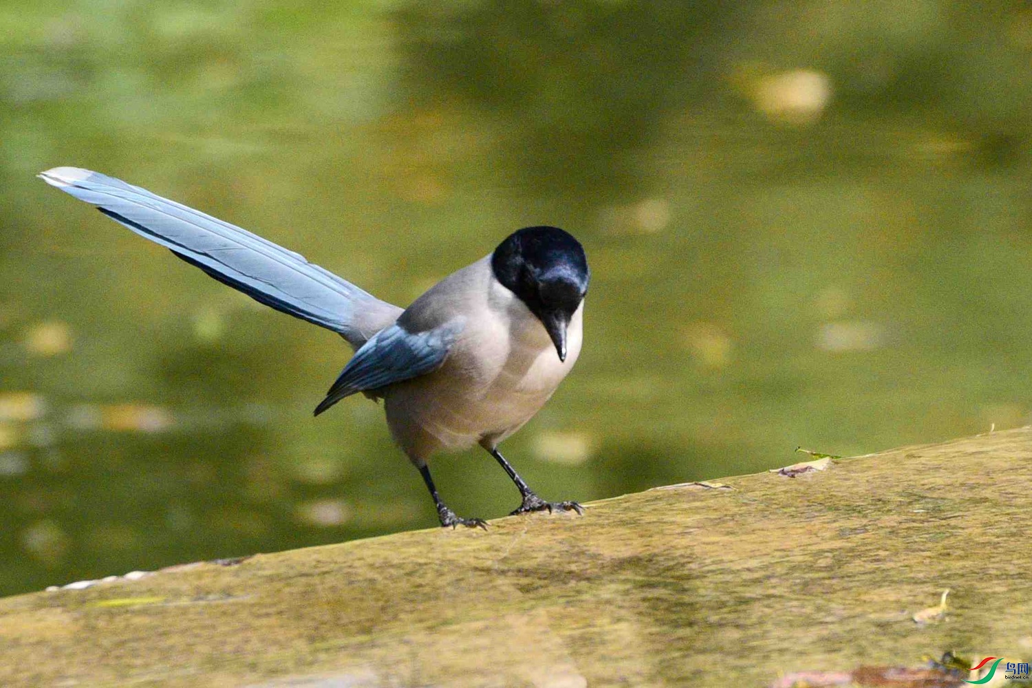 DSC_8779.JPG