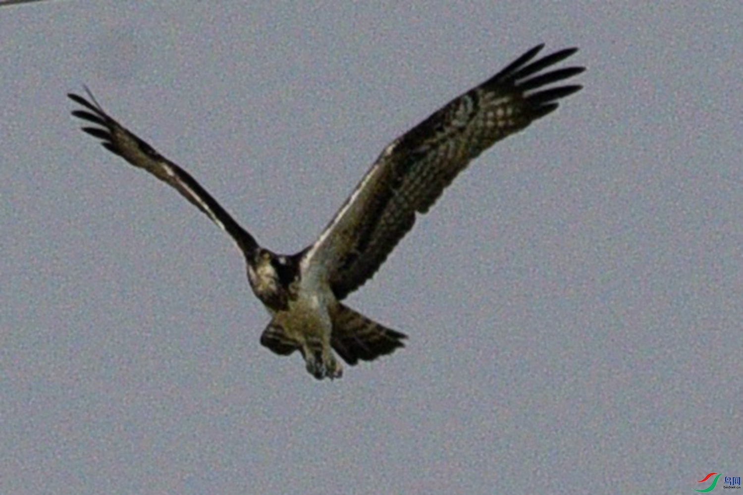 DSC_8035.JPG