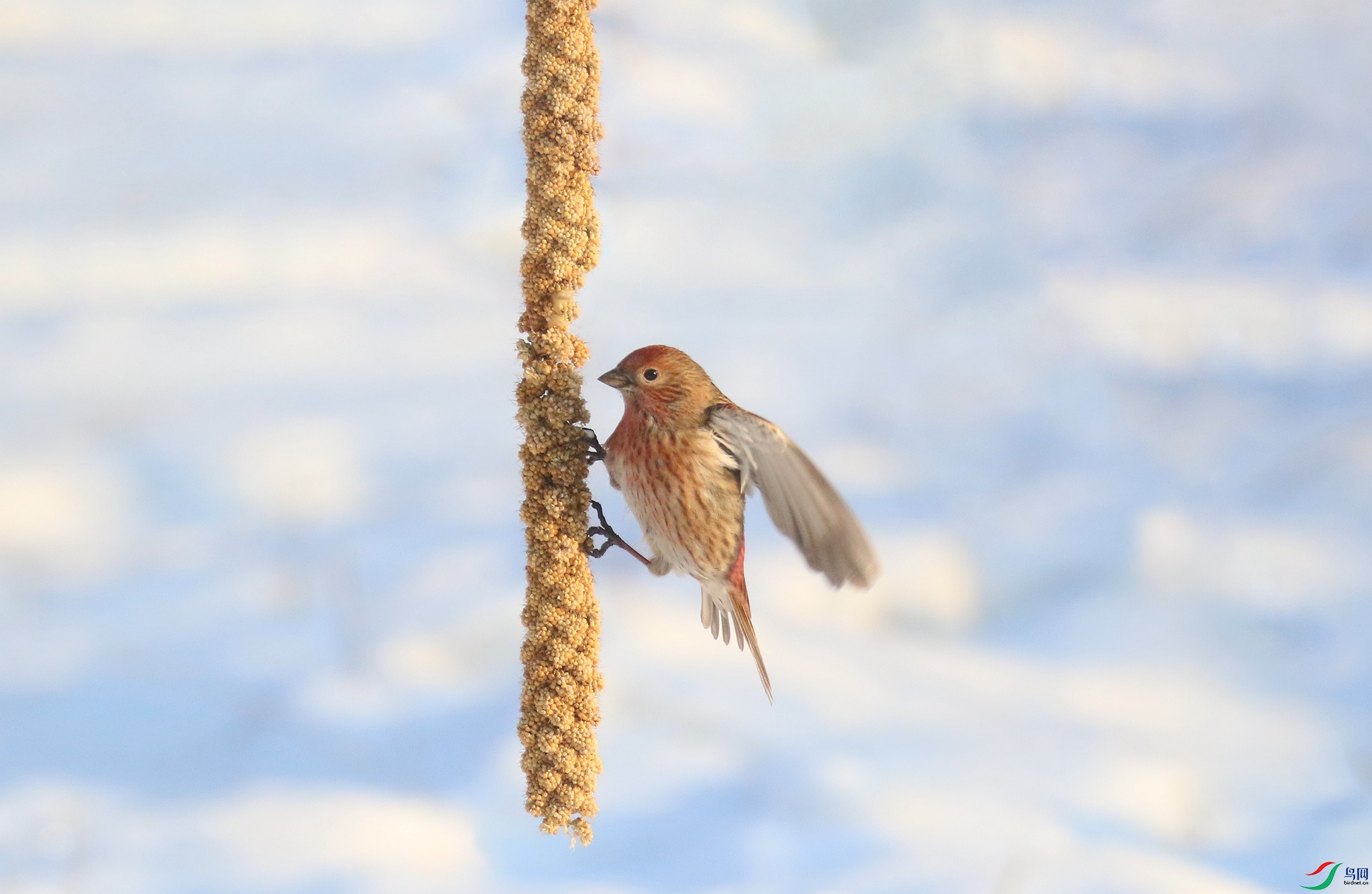 0G1A5754 ����.jpg