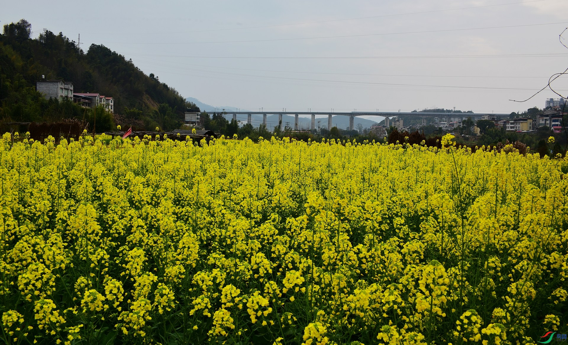 D8I_7699.jpg