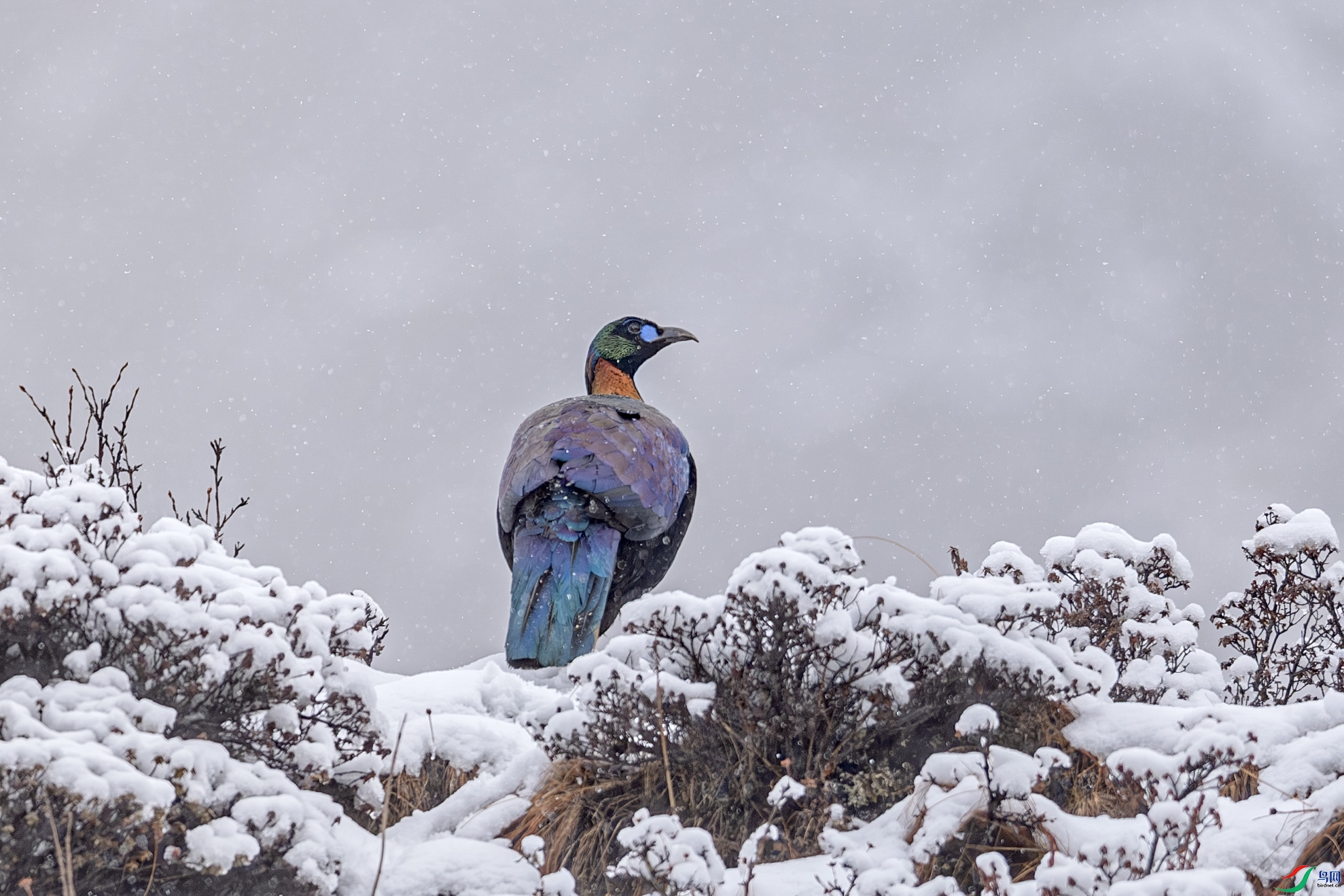 DSCF5283-����ǿ-NR ����.jpg