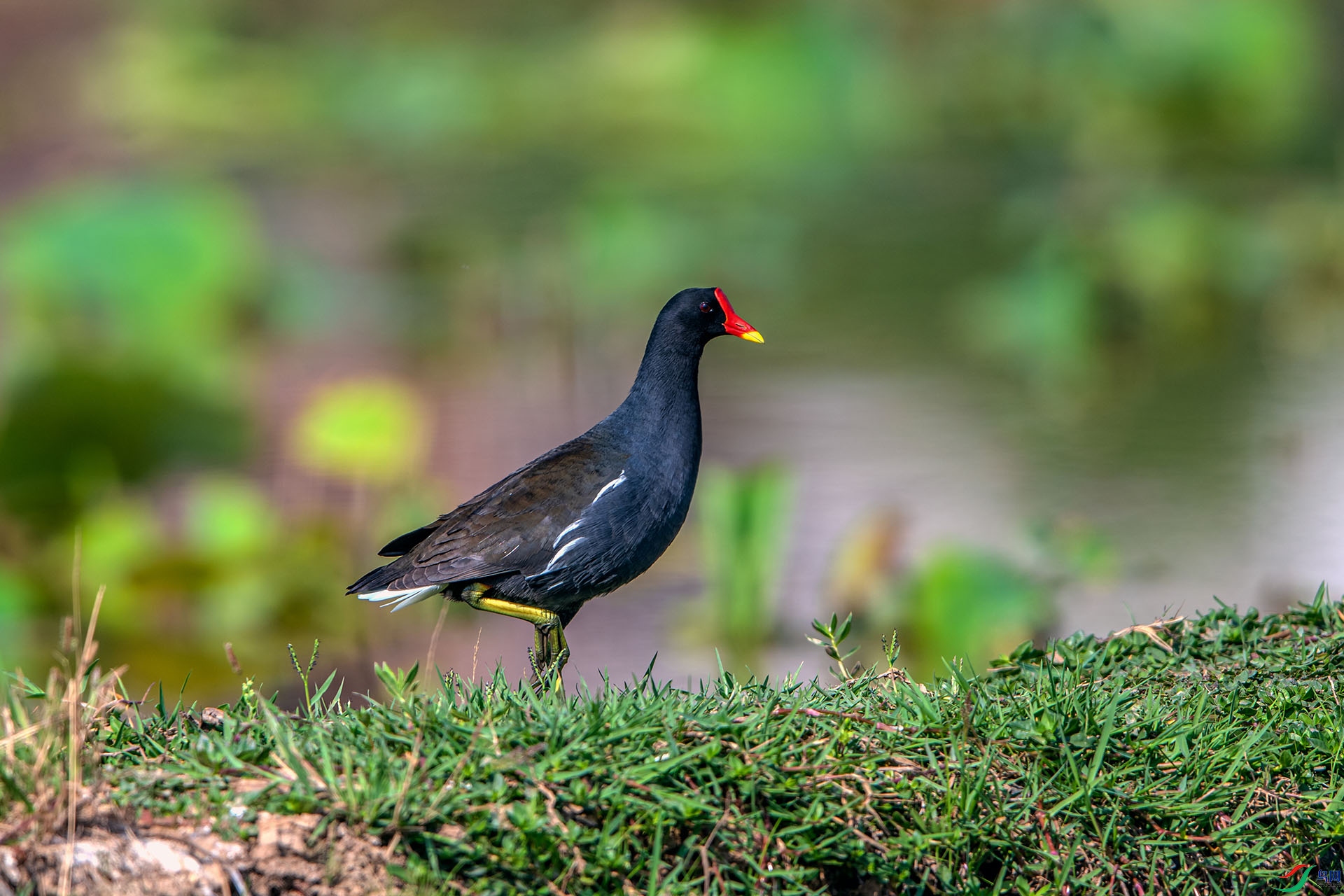 _AUU3017��ˮ��(24.5.5).jpg