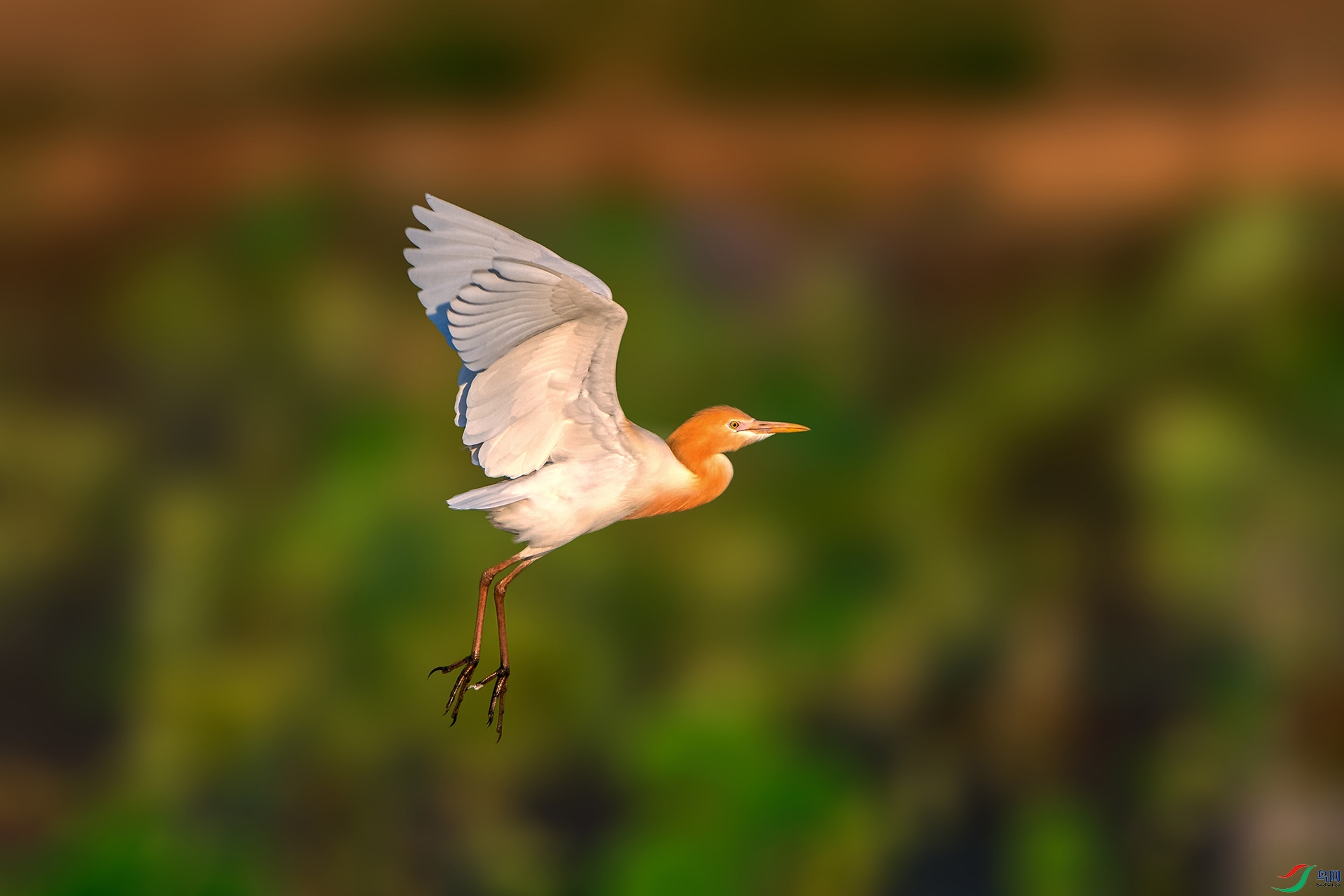_AUU3470ţ����(24.5.6).jpg