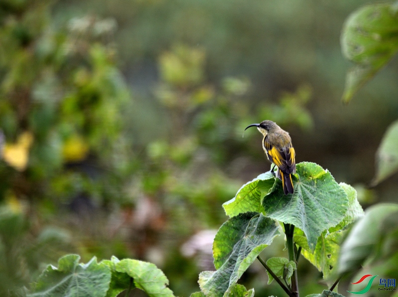 DSC_2985_01.JPG