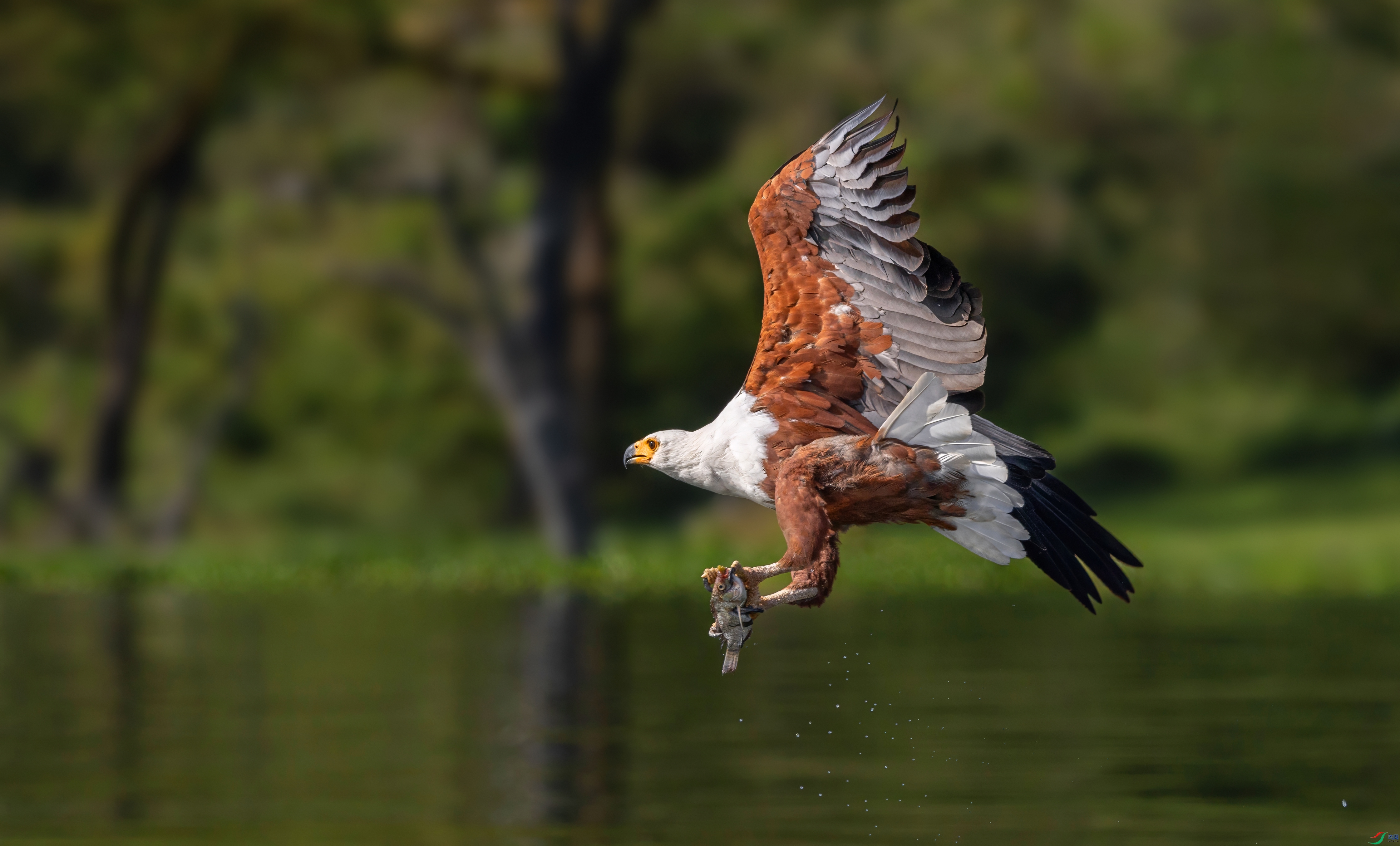 _08A8308-topaz-denoise.jpeg