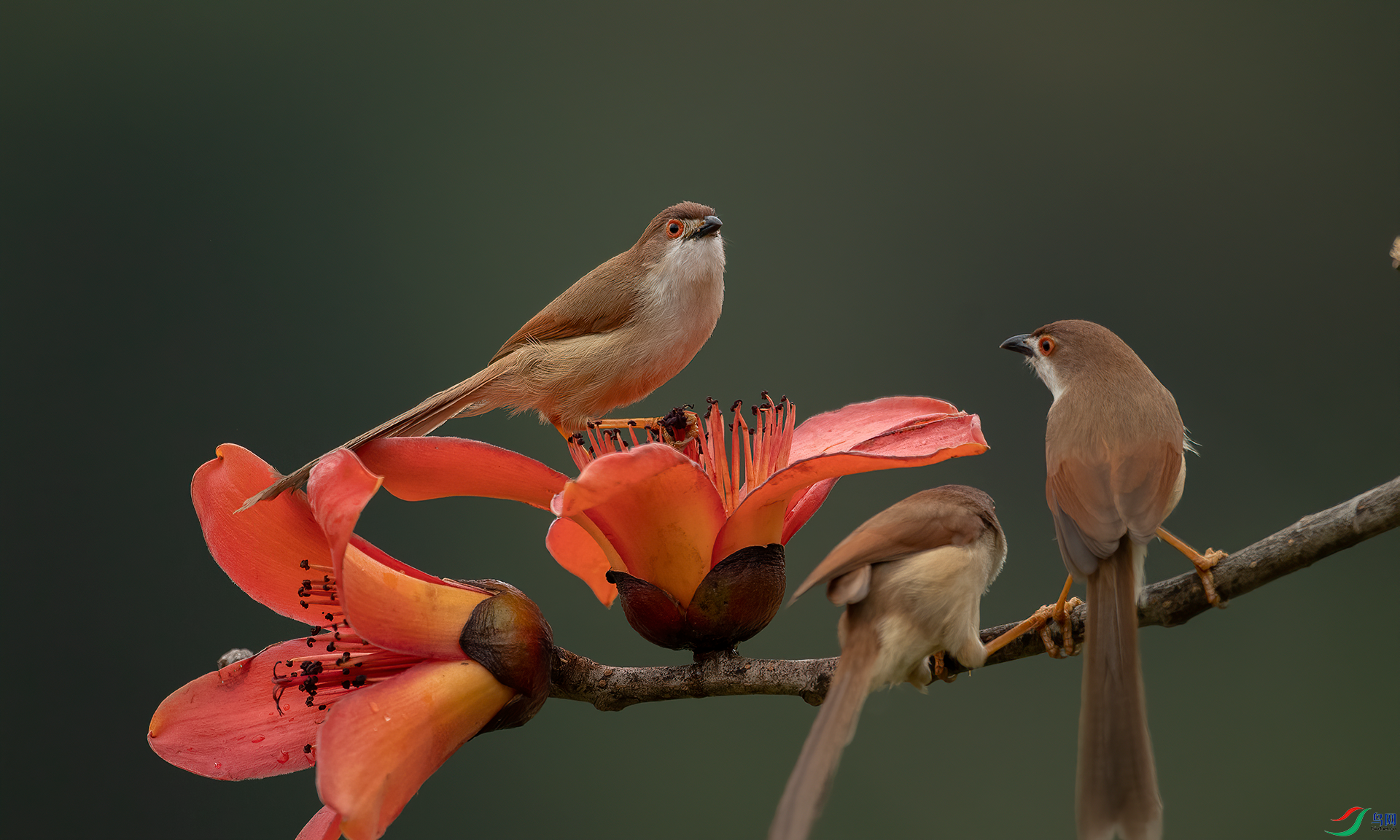 DSC_0527.png