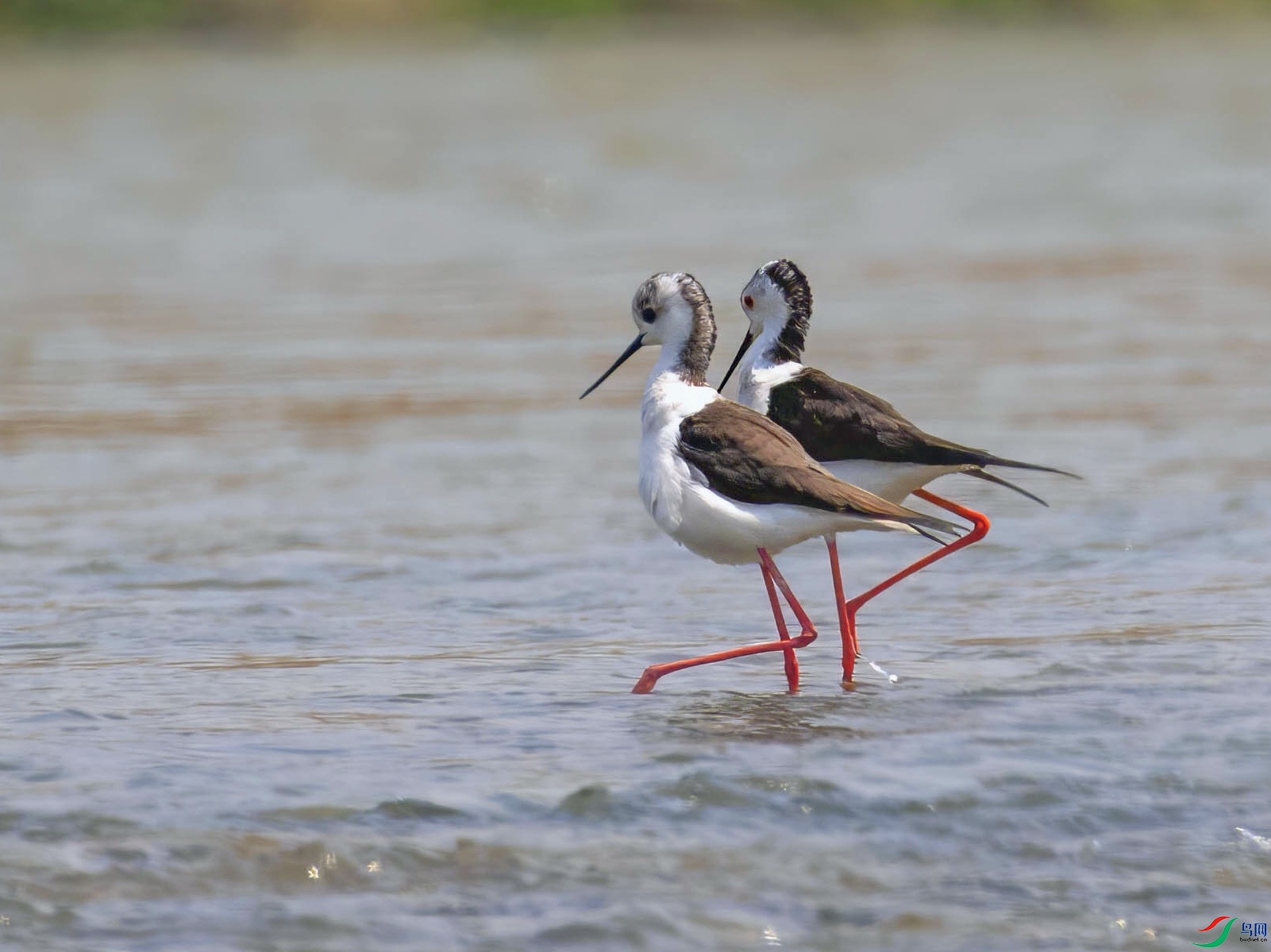 8X2A9368 ����(1)_edit_797135882746075.jpg