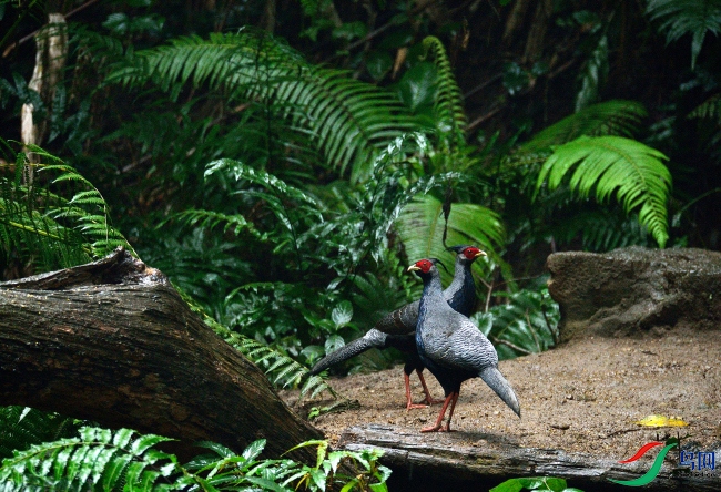 DSC_4753.JPG